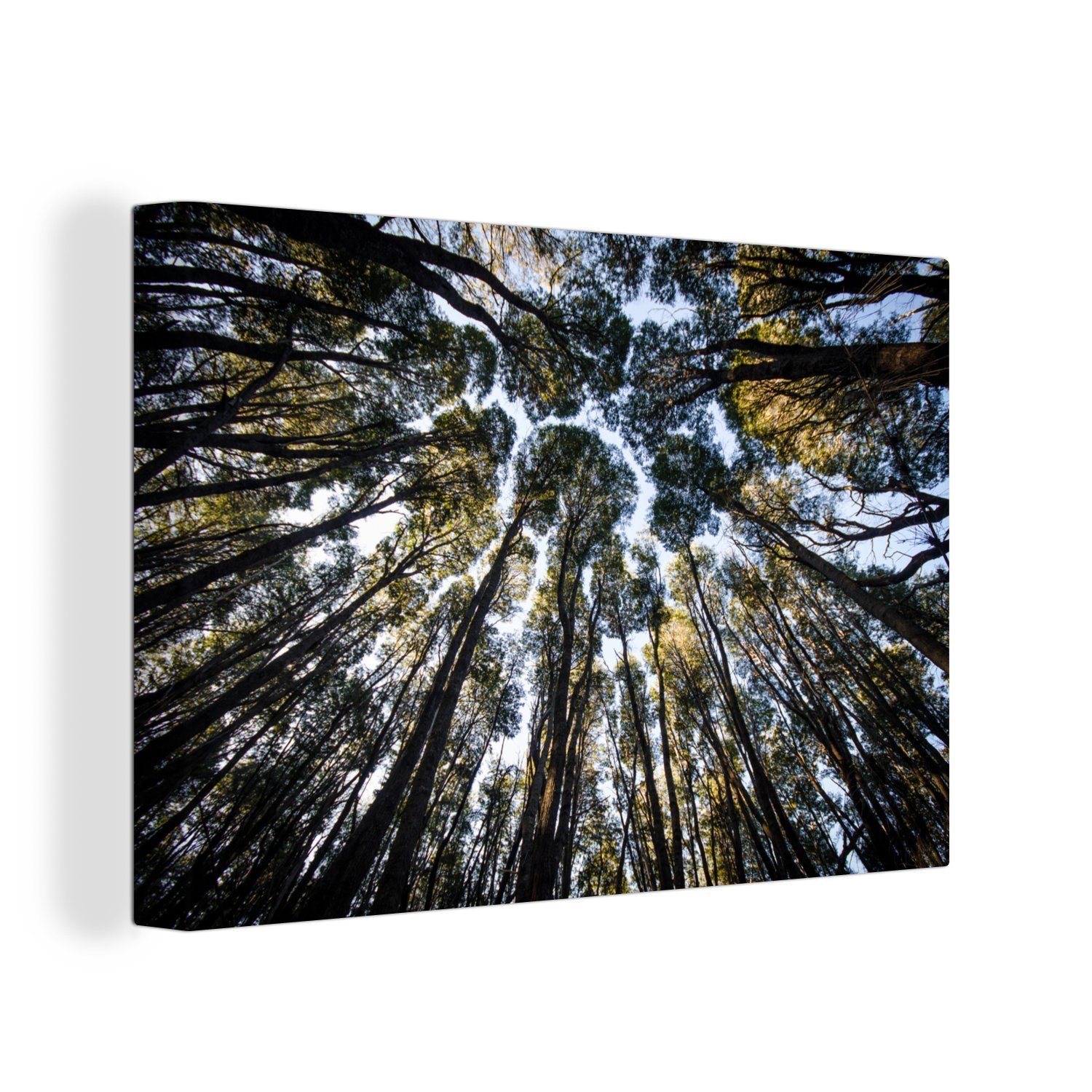 OneMillionCanvasses® Leinwandbild Blick auf die Baumkronen vom Nahuel Huapi Nationalpark in Argentinien, (1 St), Wandbild Leinwandbilder, Aufhängefertig, Wanddeko, 30x20 cm