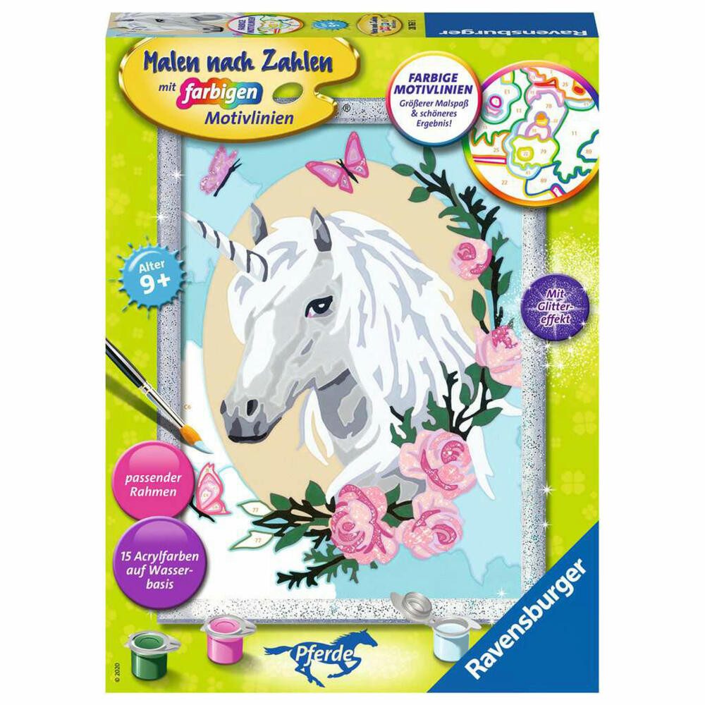 Malen nach Zahlen Einhorntraum
