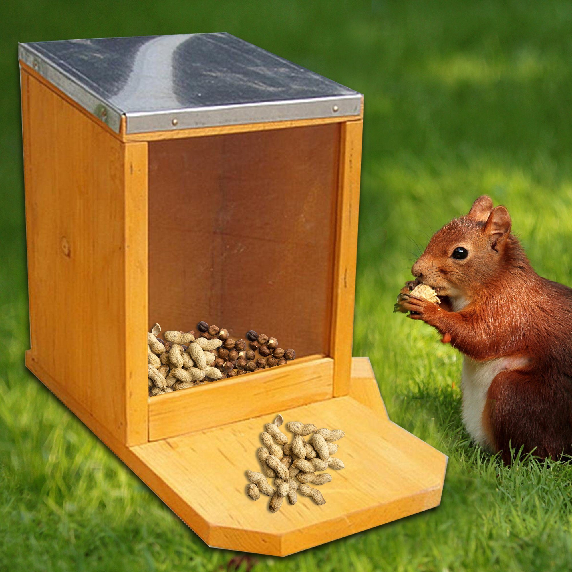 Melko Futterhaus Futterhaus Eichhörnchen Futterautomat Holz Braun Zinkdach Futterstation Plexiglas, Zinkdach