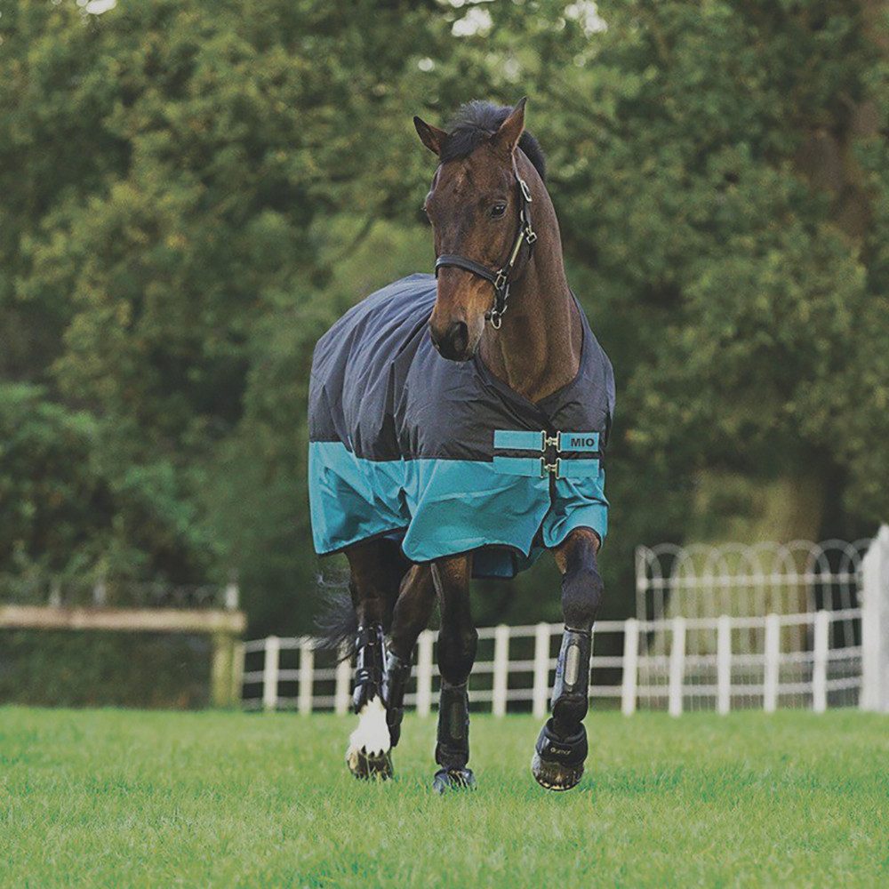 Horseware Pferde-Regendecke Horseware Mio Turnout Lite 0g - Black/Turqoise & Black