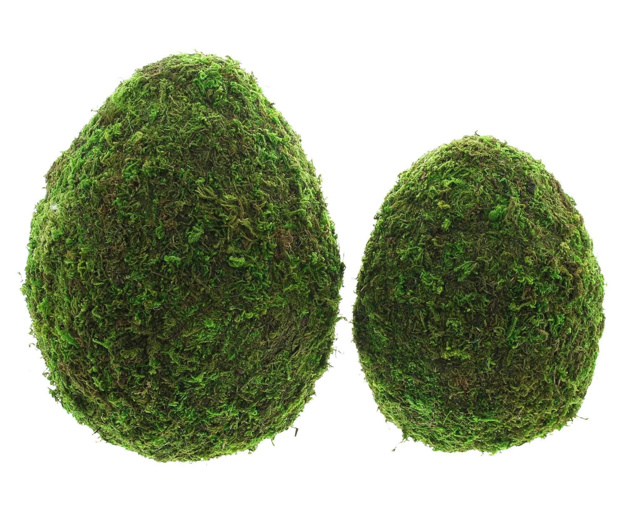 Dekoleidenschaft Osterei "Moos" Naturmoos auf Kunststoff, große Dekoeier, 19 + 24 cm, Osterdeko (2 St., im Set), Dekofigur, Frühlingsdeko, Mooseier, Osterei, Moosdeko, Eier