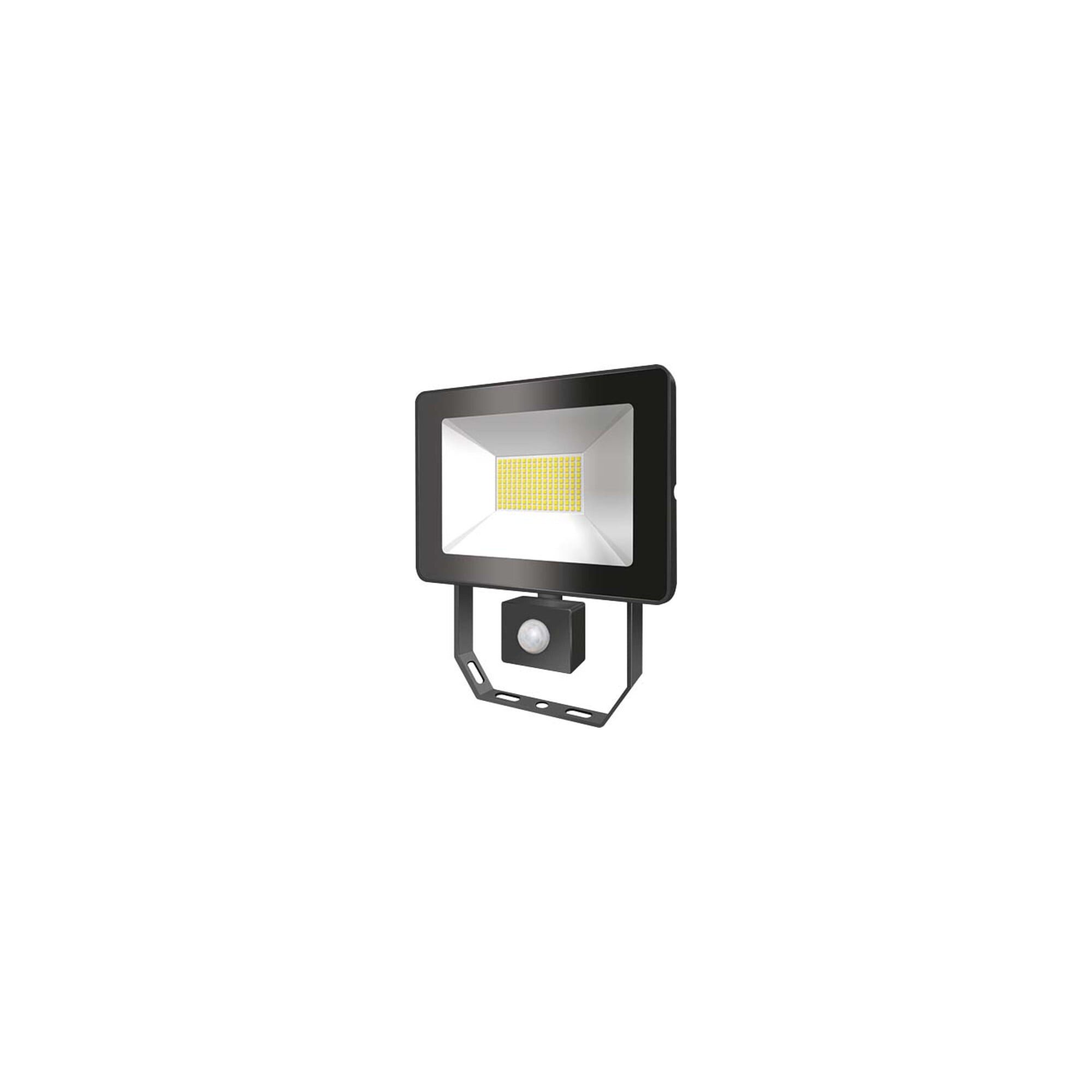 ESYLUX Laterne ESYLUX LED-Strahler mit BWM 4000K schwarz BASICAFLTR5000840MDB