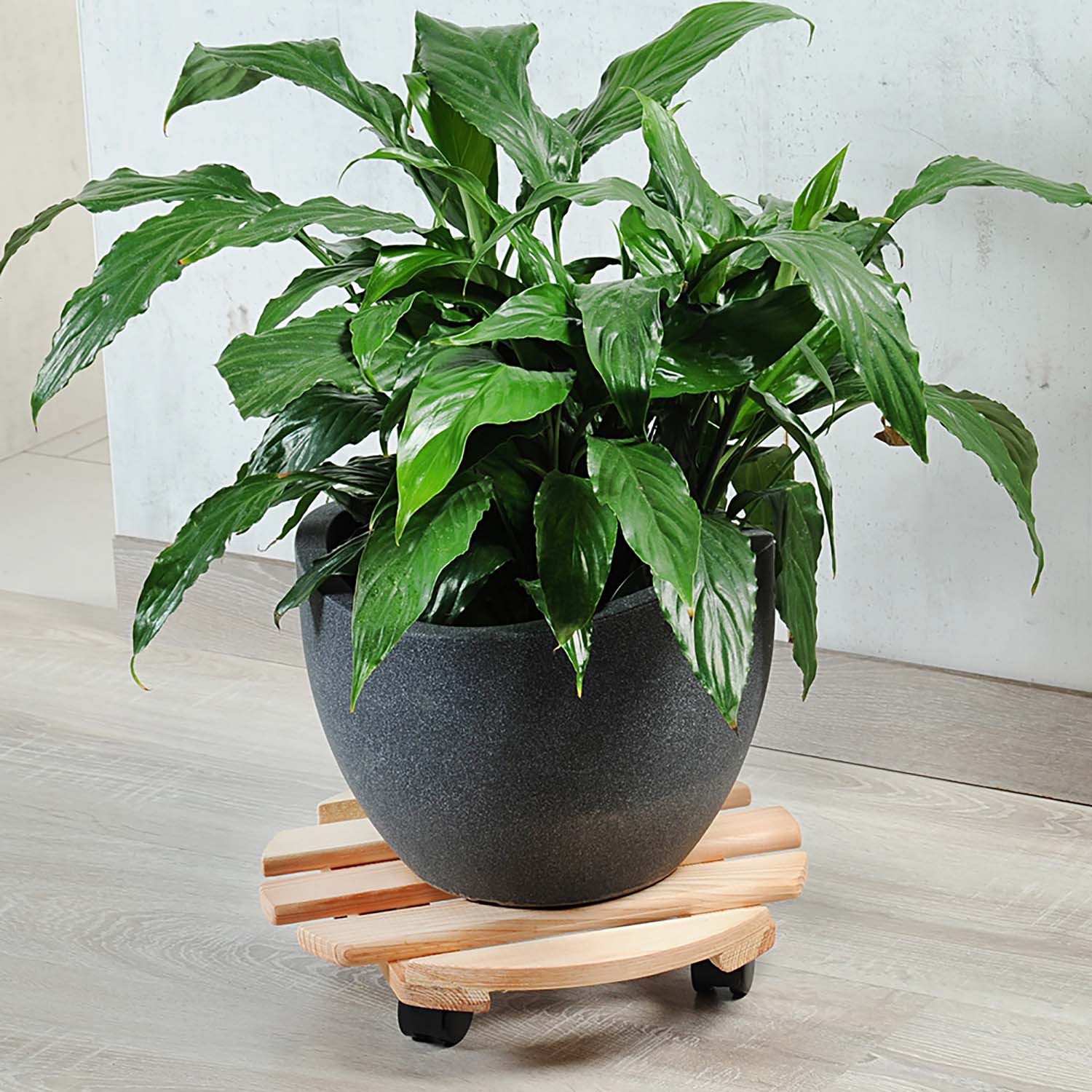 Kesper Blumenständer Pflanzenroller - Kiefernholz - Ø 35cm