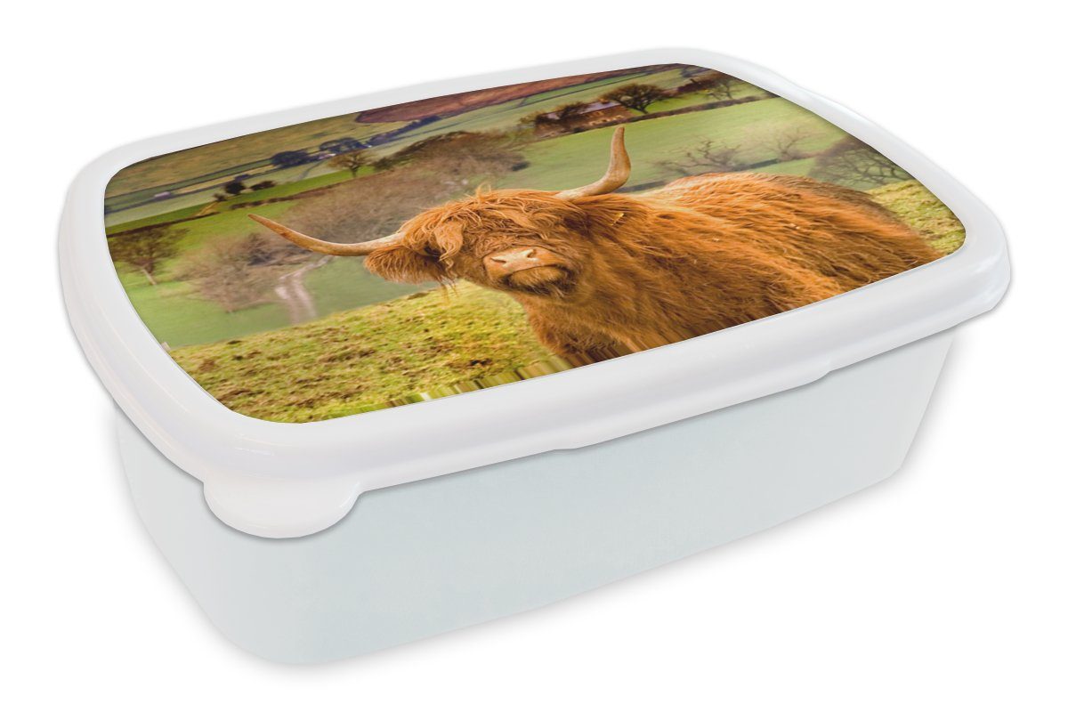 MuchoWow Lunchbox Schottischer Highlander - Berg - Herbst, Kunststoff, (2-tlg), Brotbox für Kinder und Erwachsene, Brotdose, für Jungs und Mädchen weiß