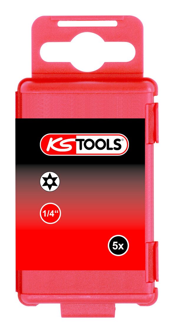 Torx-Bit
