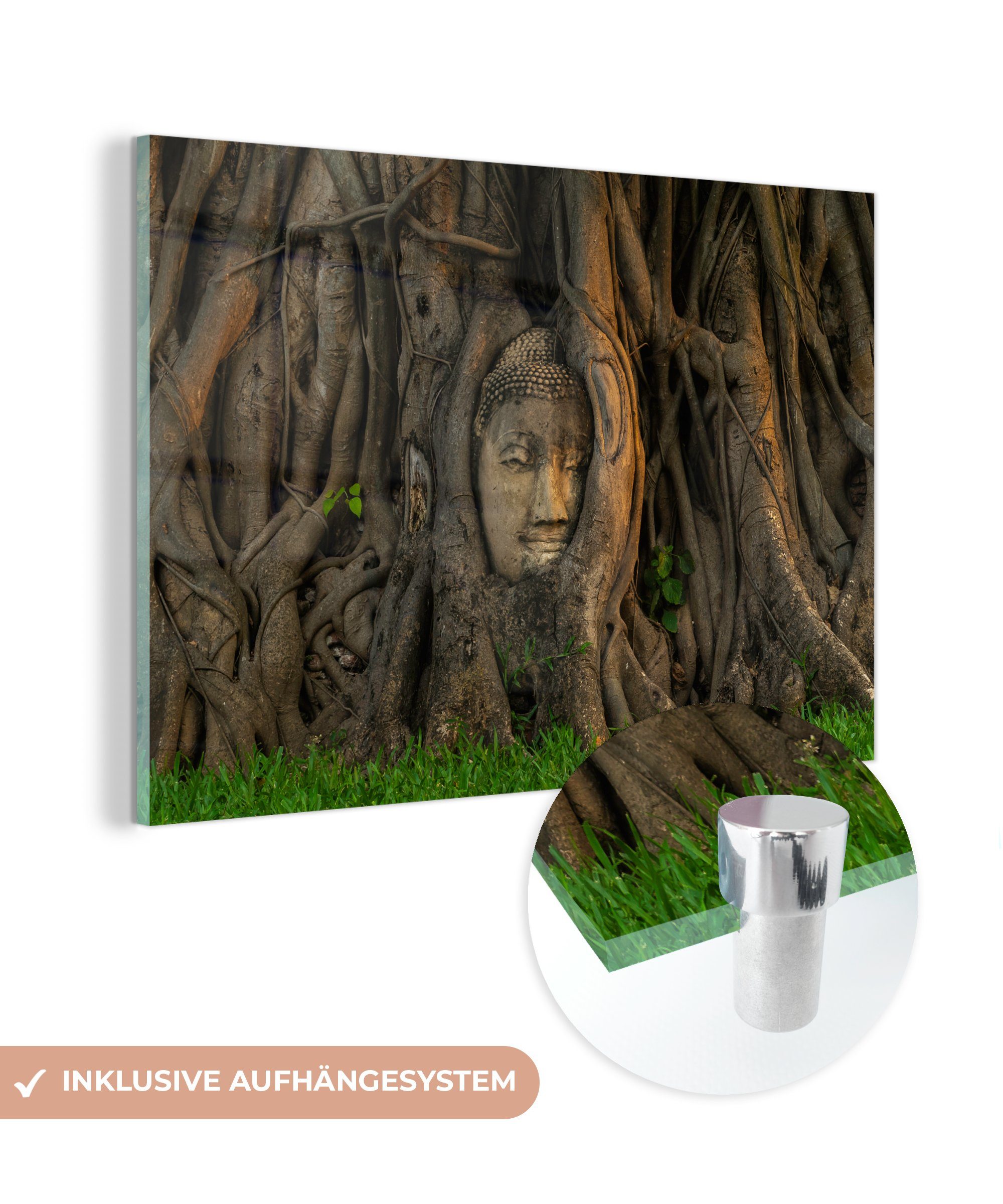 MuchoWow Acrylglasbild Buddha-Statue von Bäumen überwuchert, (1 St), Acrylglasbilder Wohnzimmer & Schlafzimmer