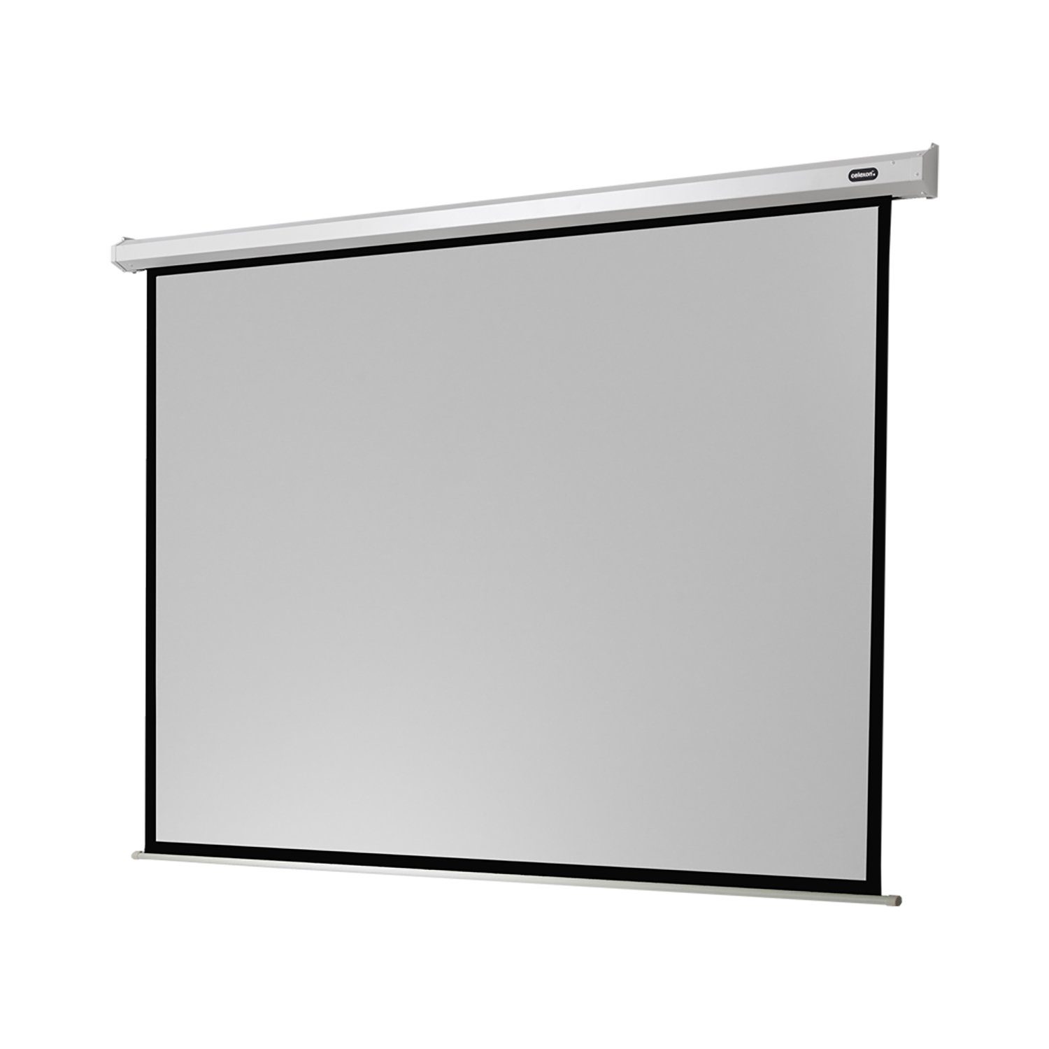 Celexon Economy Motorleinwand (schwarze Rückseite)