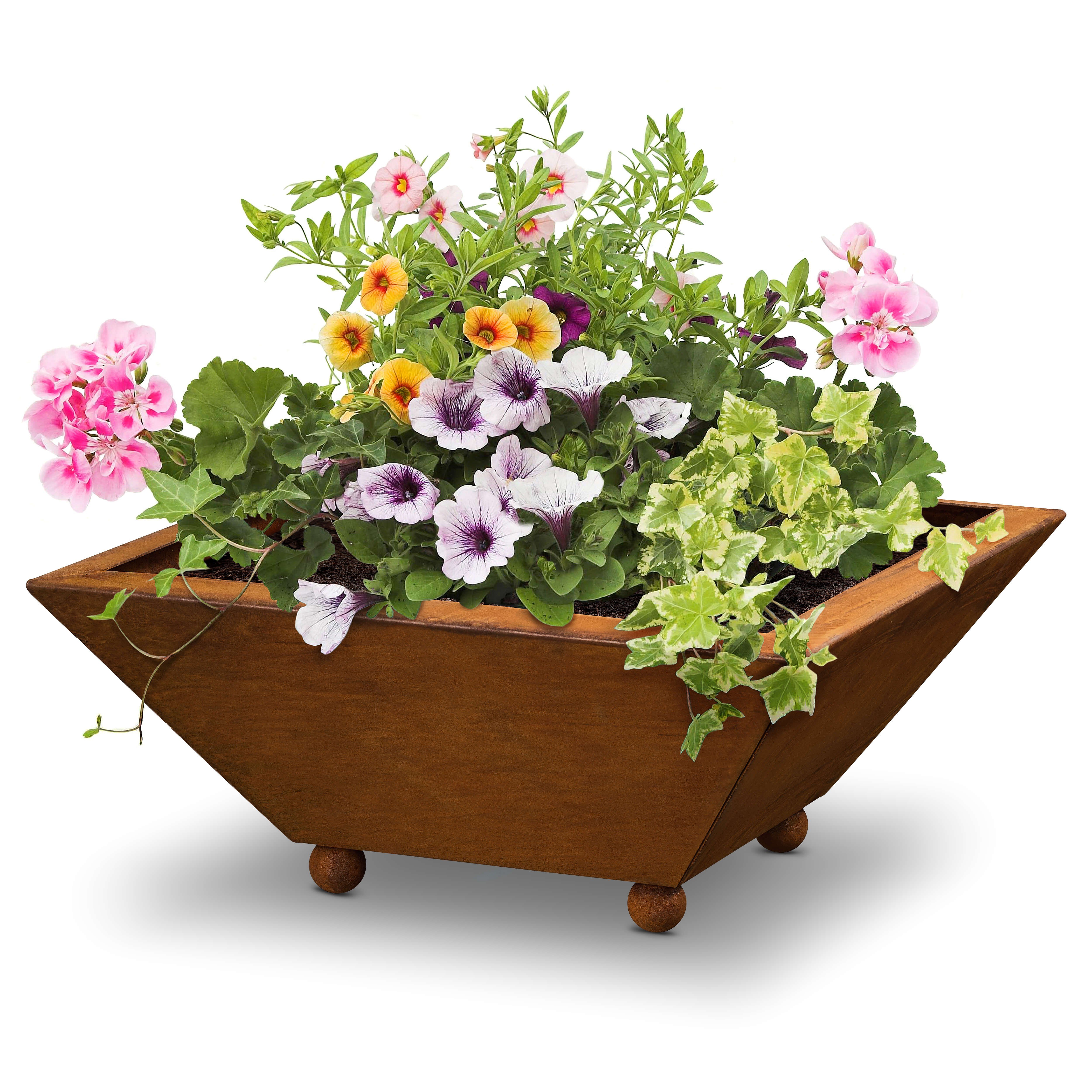 Rostikal Pflanzschale Deko Schale Blumenschale 35 x 35 cm, echter Rost – Bild 3 von 5