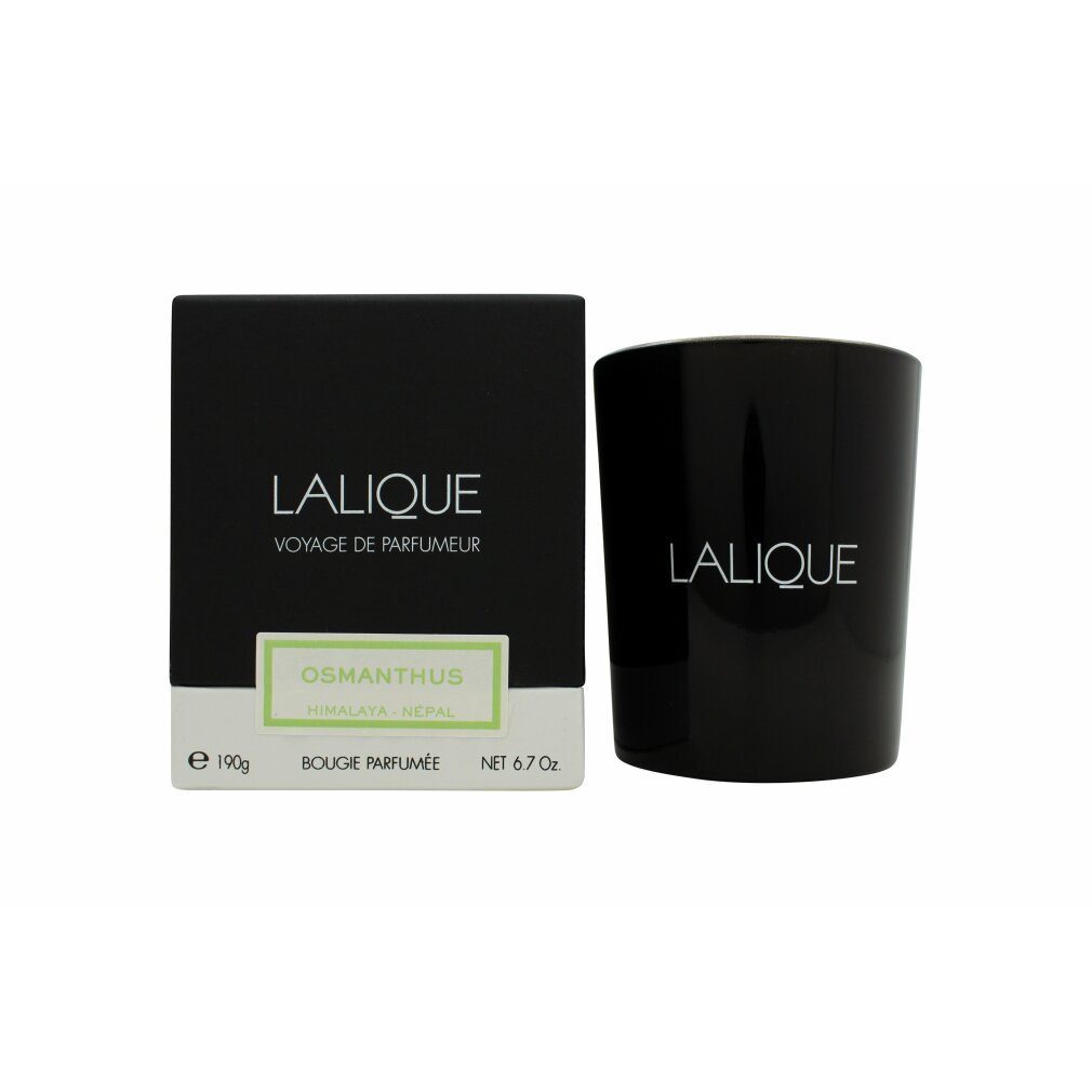 Lalique Duftkerze Candle 190g - Osmanthus Himalaya