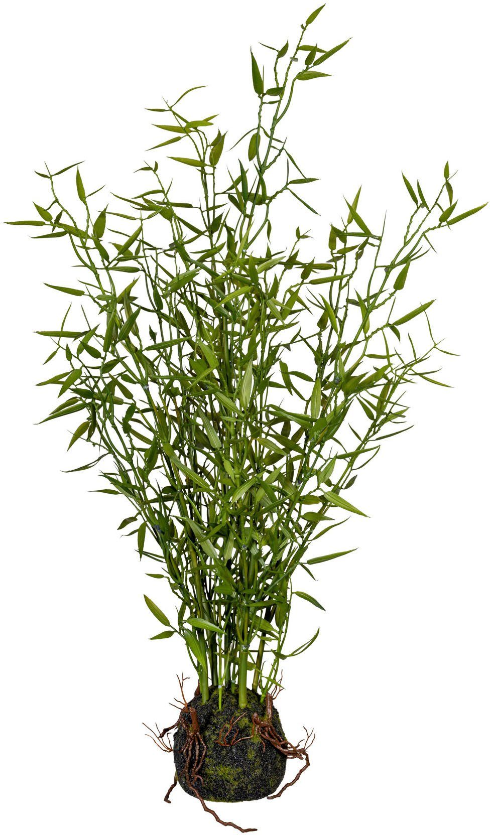 Künstliche Zimmerpflanze Bambus im Moosballen Bambus, Creativ green, Höhe 60 cm