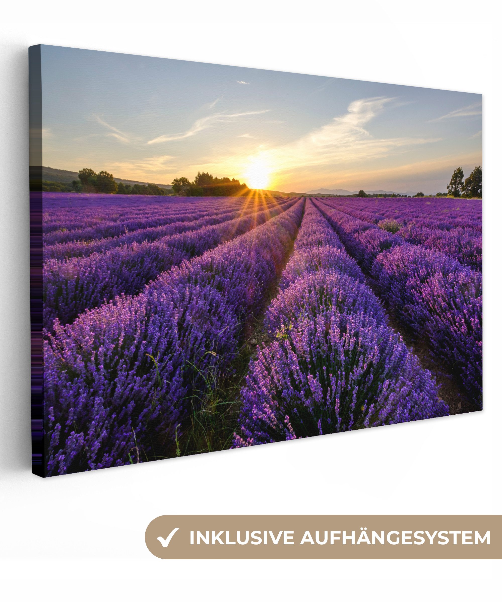 OneMillionCanvasses® Leinwandbild Lavendel - Blumen - Sonnenuntergang - Lila, Fotodruck (1 St), Leinwand Bilder Klein, Wand Dekoration Aesthetic 30x20 cm