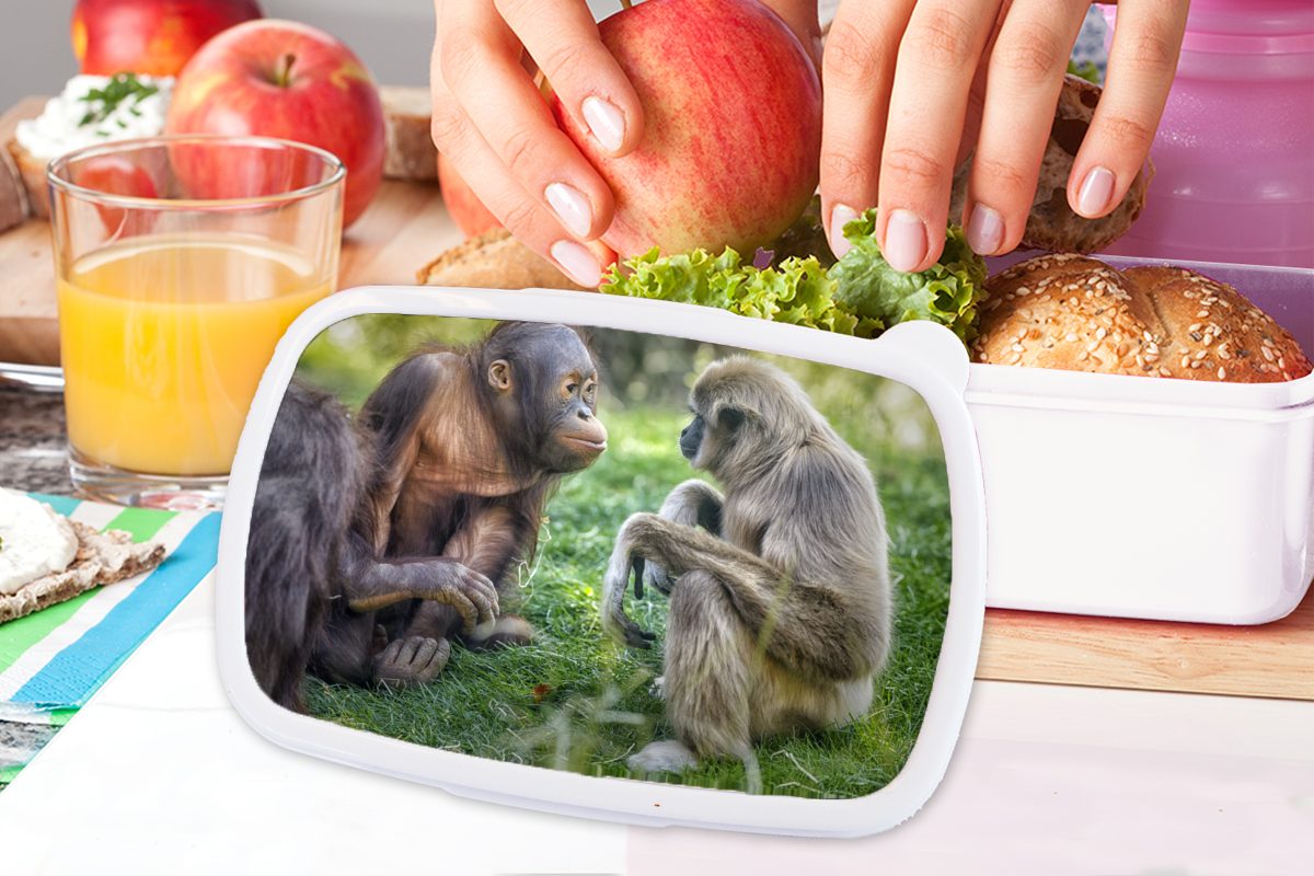 Affen Familie, - Kinder für - für Mädchen Lunchbox Jungs MuchoWow Brotbox (2-tlg), Tiere Erwachsene, Brotdose, und Kunststoff, und weiß