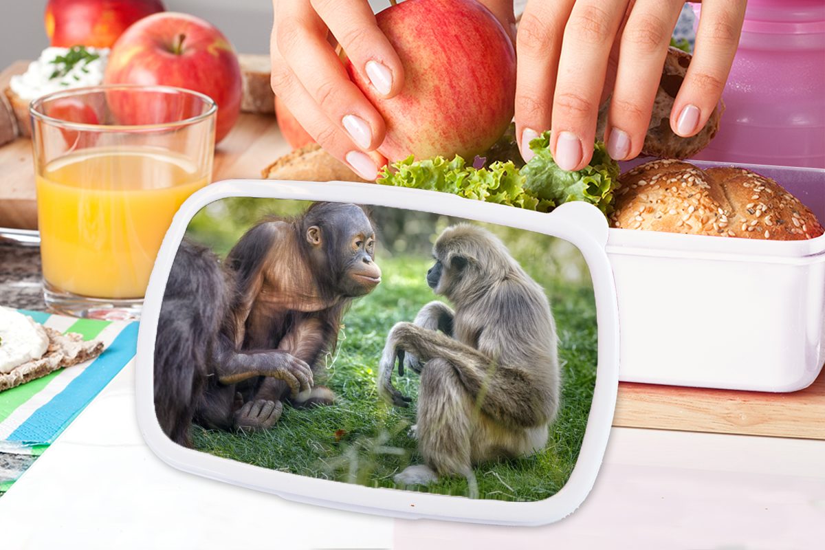 MuchoWow Lunchbox Affen Tiere und für Kunststoff, - Mädchen Brotbox Erwachsene, für Jungs und Brotdose, weiß Kinder Familie, (2-tlg), 