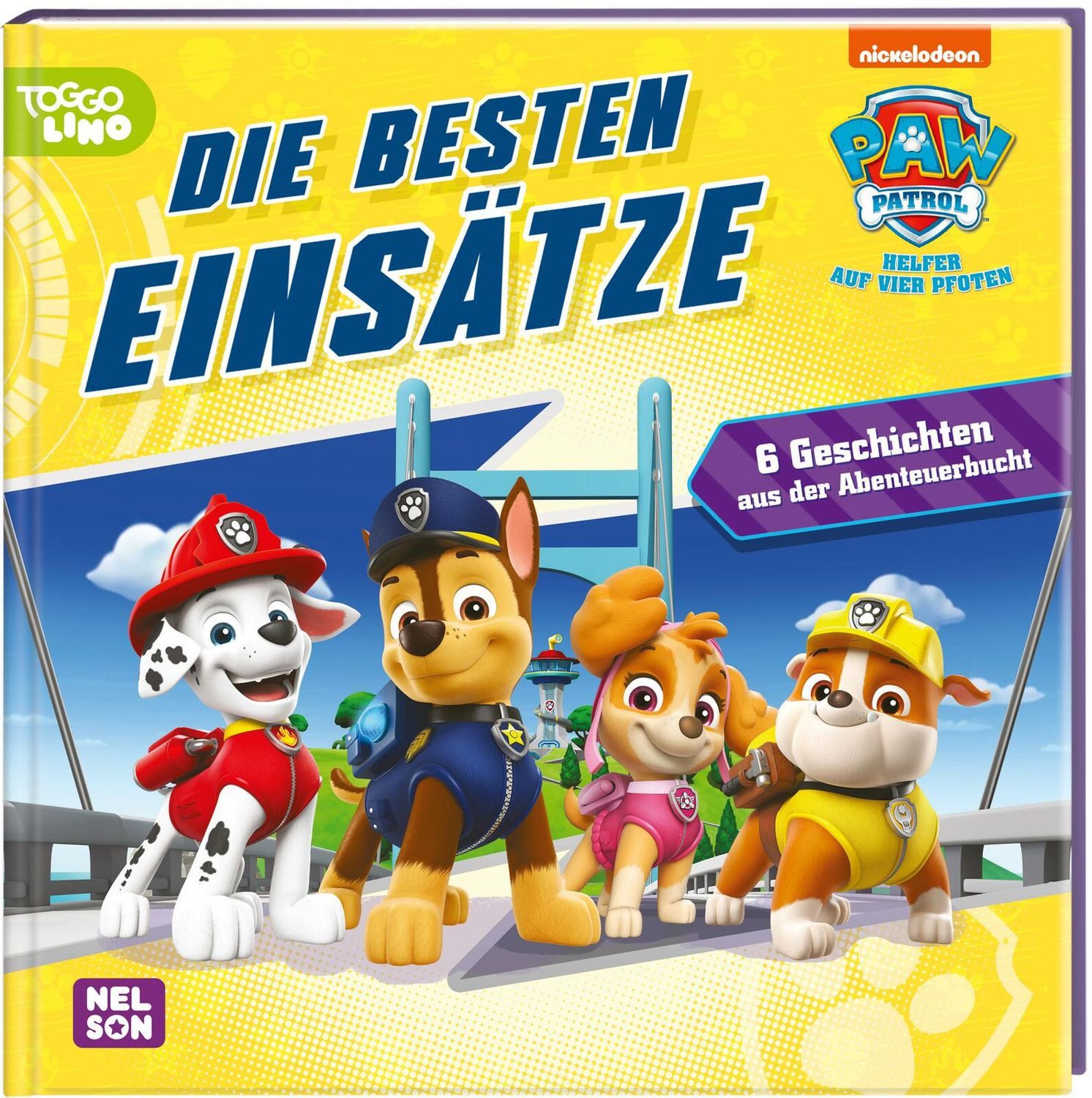 PAW Patrol Geschichtenbuch: Die besten Einsätze / diverse