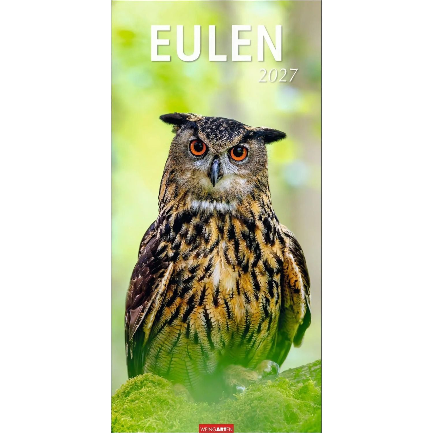 Wandkalender Eulen Kalender 2027