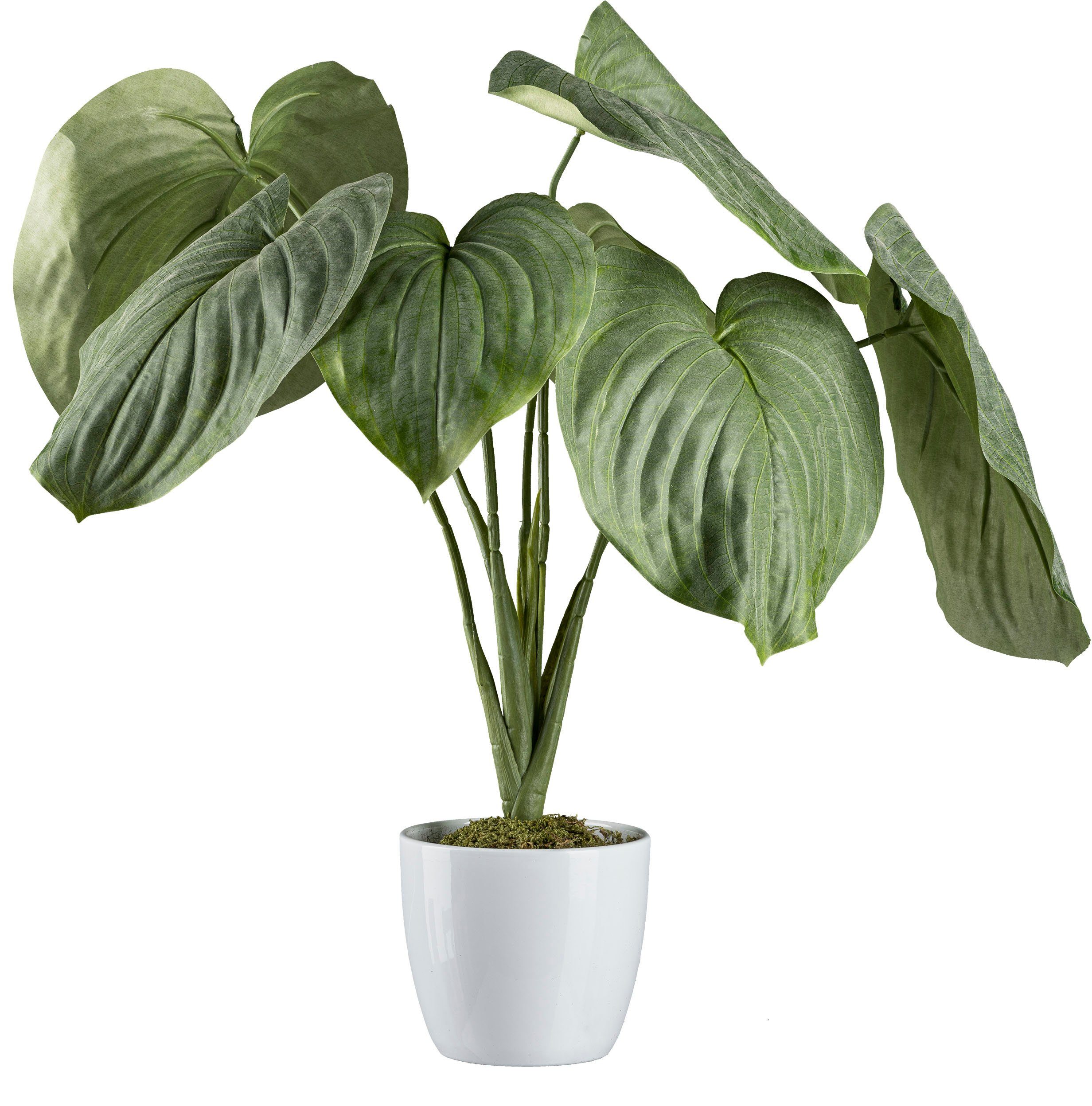 Zimmerpflanze cm Höhe green, Künstliche Creativ Keramiktopf, Hosta-Busch im 65