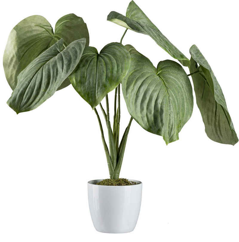 Künstliche Zimmerpflanze Hosta-Busch im Keramiktopf, Creativ green, Höhe 65 cm
