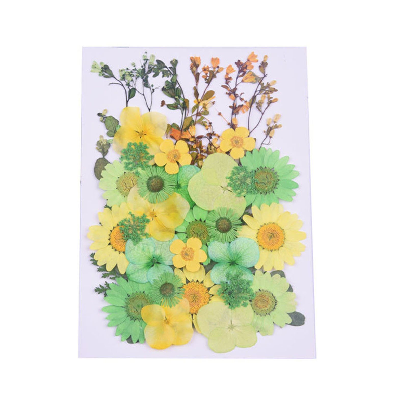 Trockenblume Trockenblumen-Set Zum Selbermachen, Gepresste Blumen, Getrocknetes, Blusmart green yellow