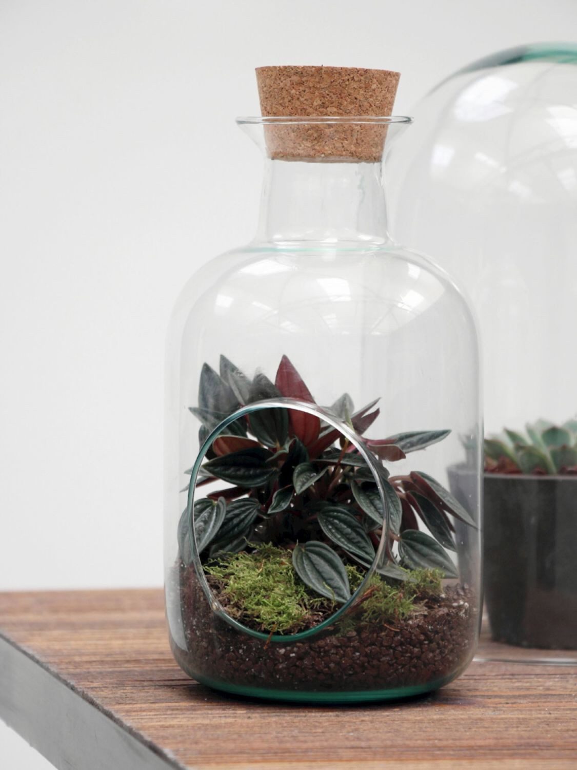 INNA-Glas Terrarium Glas Terrarium Aldrin mit Kork-Deckel, Eco Glas, klar, 43 cm, Ø 20 cm
