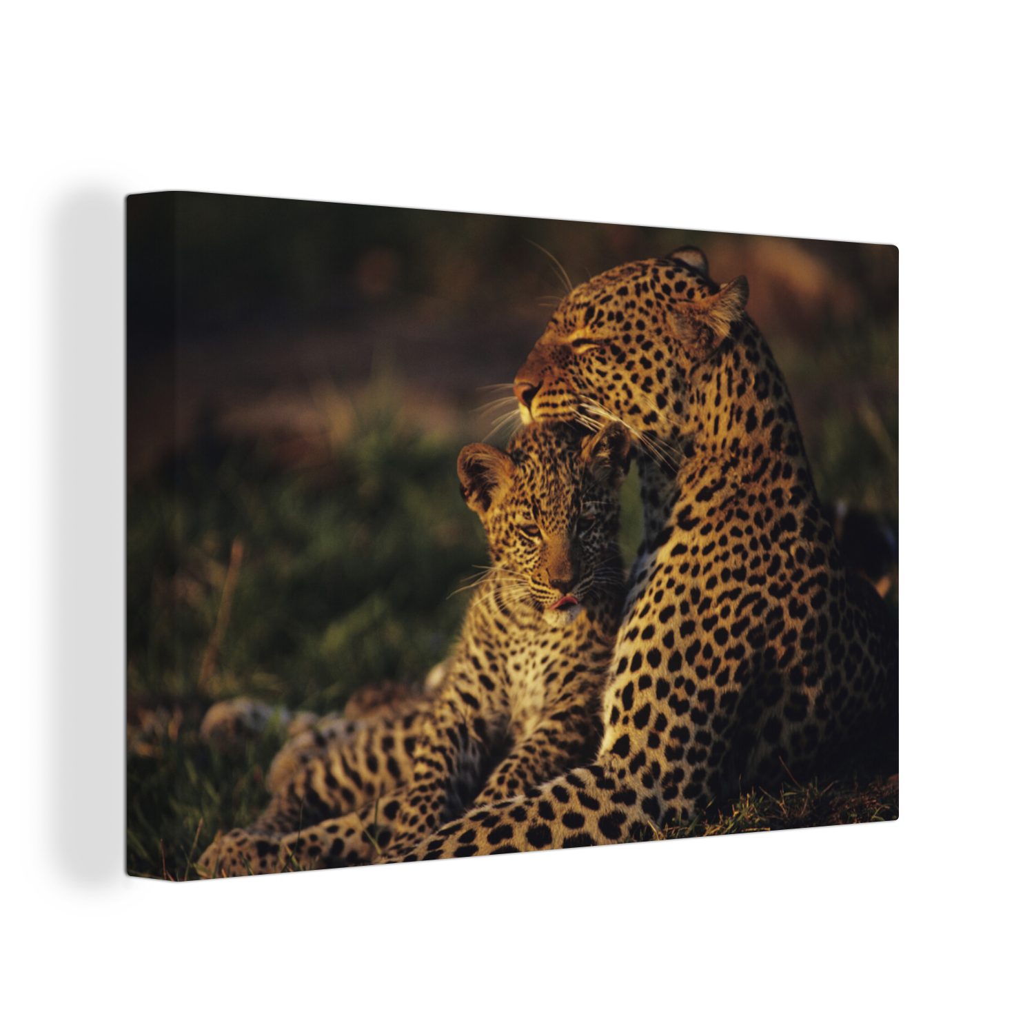 OneMillionCanvasses® Leinwandbild Wandbild St), - Leinwandbilder, Jungtier, Savanne cm (1 Leopard - Aufhängefertig, Wanddeko, 60x40