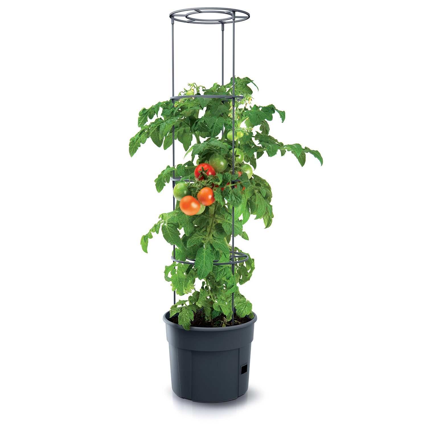 KAGM Pflanzkübel Blumenkübel Rankhilfe Blumentopf für günstig online kaufen