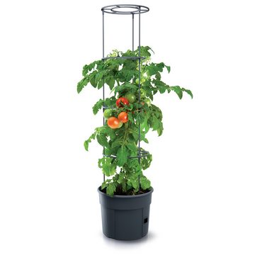 KAGM Pflanzkübel Blumenkübel Rankhilfe Blumentopf für Tomaten Tomatentopf 3er SET 12L (Tomatentopf, Rankhilfe)