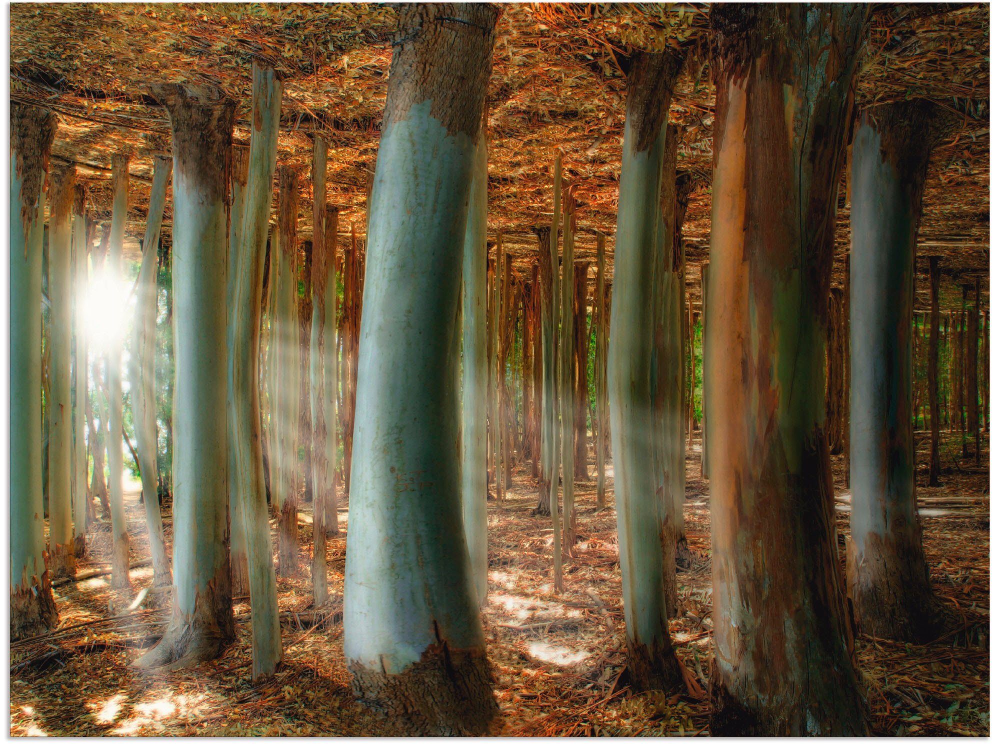 Artland Wandbild Zauberwald, Wald (1 St), als Alubild, Leinwandbild, Wandaufkleber oder Poster in versch. Größen