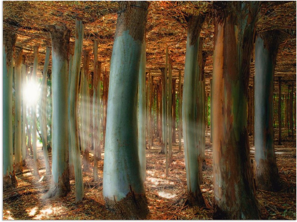 Artland Wandbild Zauberwald, Wald (1 St), als Alubild, Leinwandbild,  Wandaufkleber oder Poster in versch. Größen