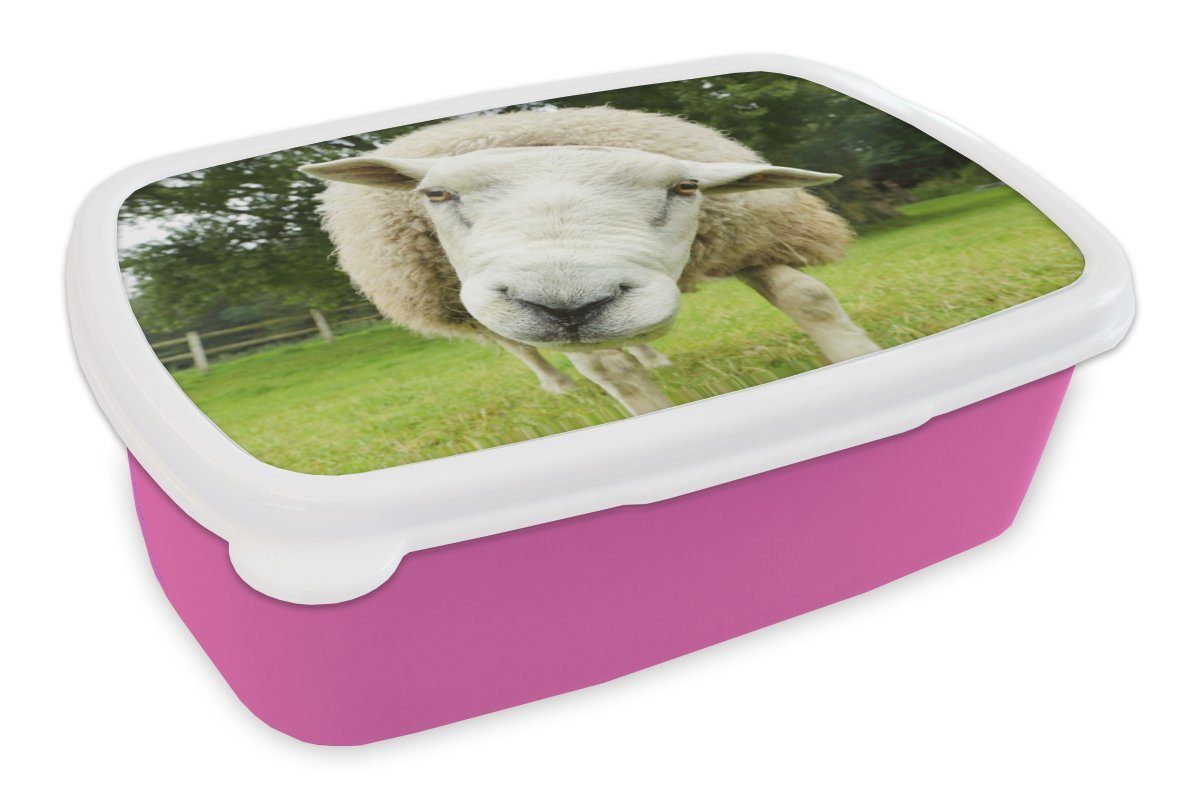 Brotdose Lunchbox MuchoWow Brotbox Schaf für Baum, Snackbox, rosa Kinder, Gras - - Kunststoff Erwachsene, Kunststoff, (2-tlg), Mädchen,