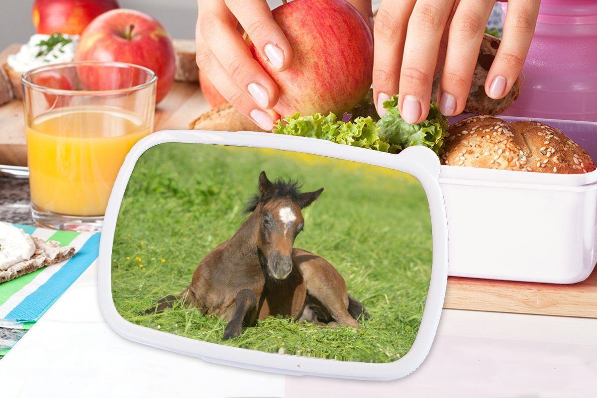 für - Jungs Mädchen Kunststoff, - Brotdose, und für und Gras, weiß Pferde Erwachsene, Kinder Brotbox Licht MuchoWow Lunchbox (2-tlg),
