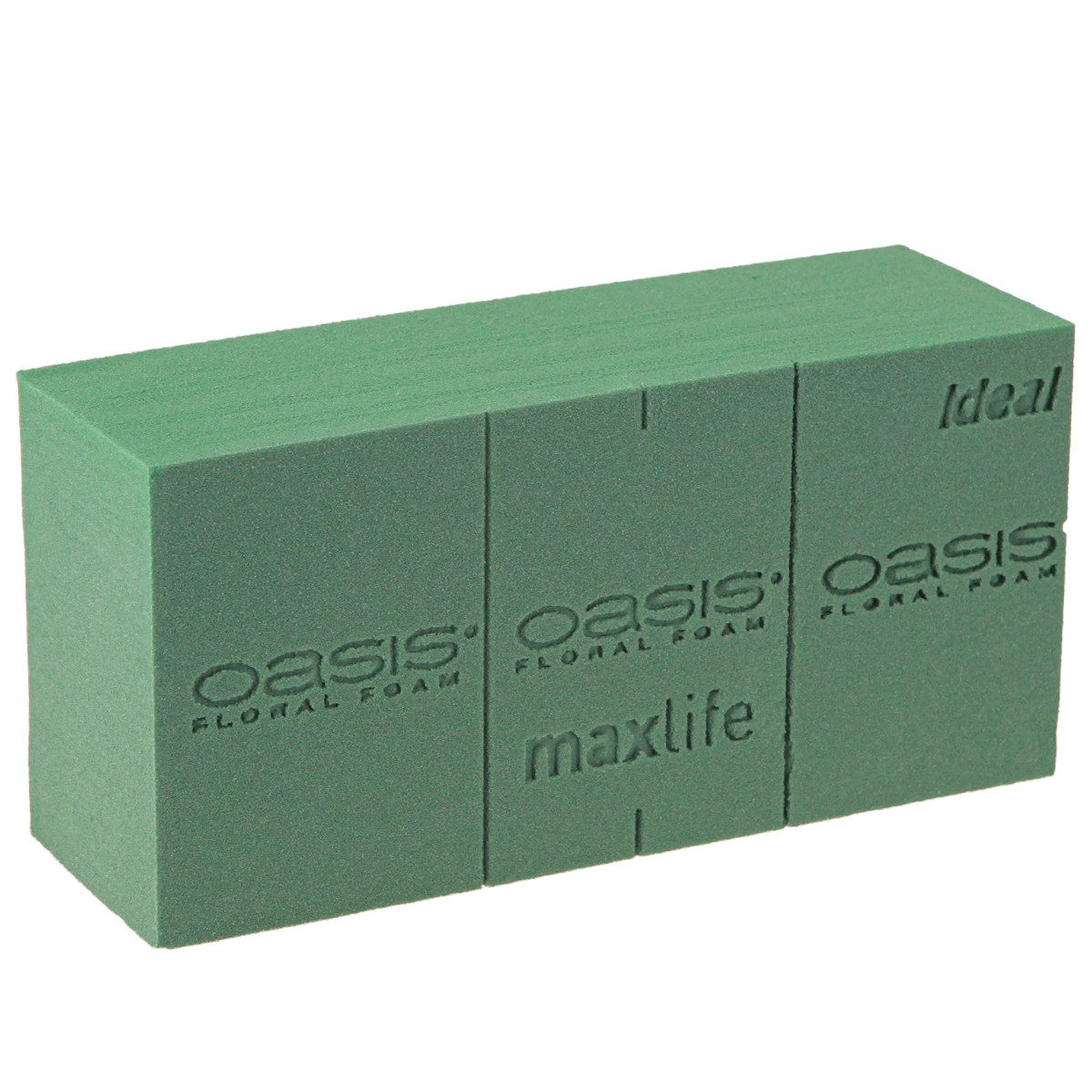 Oasis Bastelnaturmaterial Steckschaum Ideal für Gestecke, Piaflor Steckmoos Ziegel, 20 Stück