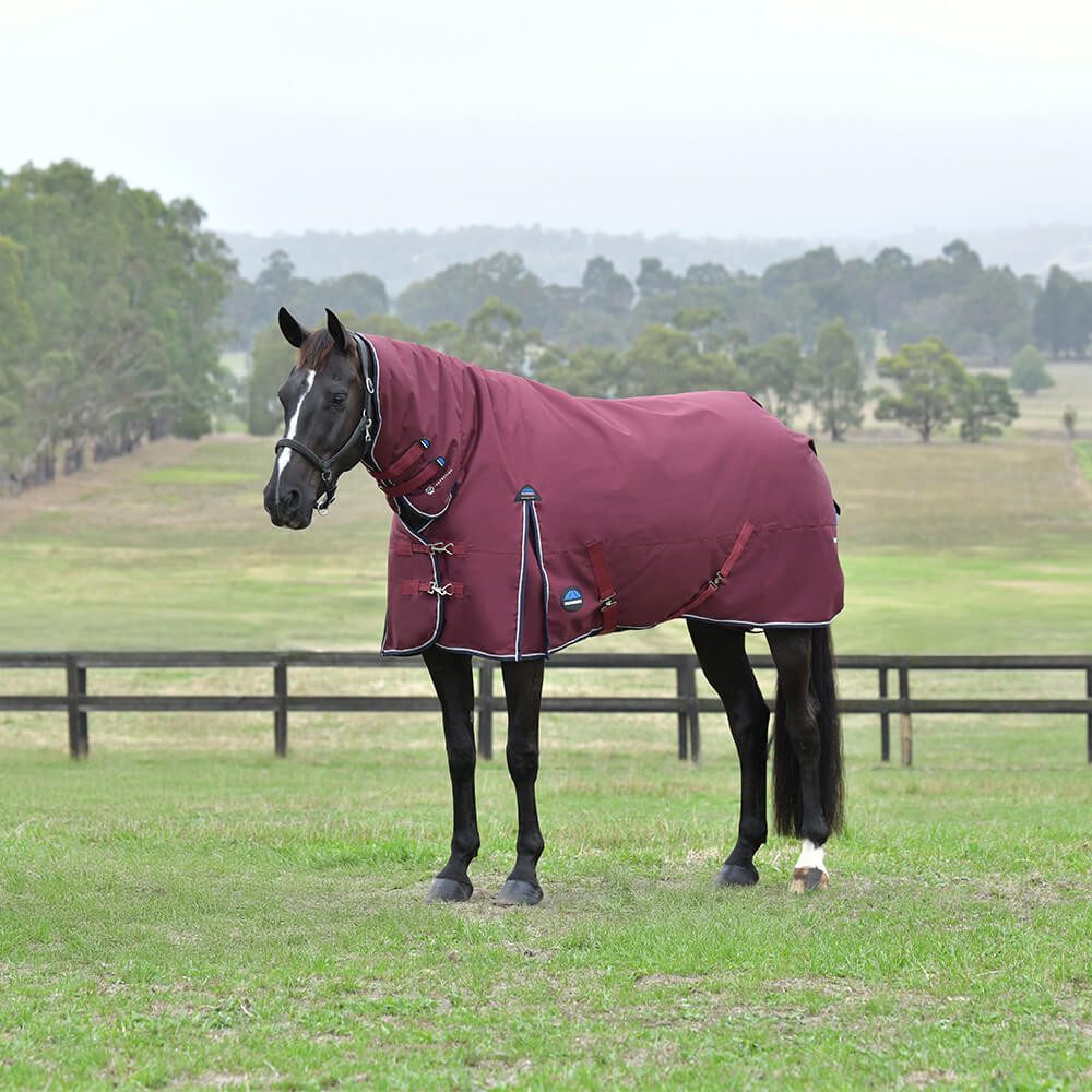 Pferde-Thermodecke Weatherbeeta Comfitec Essential Turnout Combo 360g