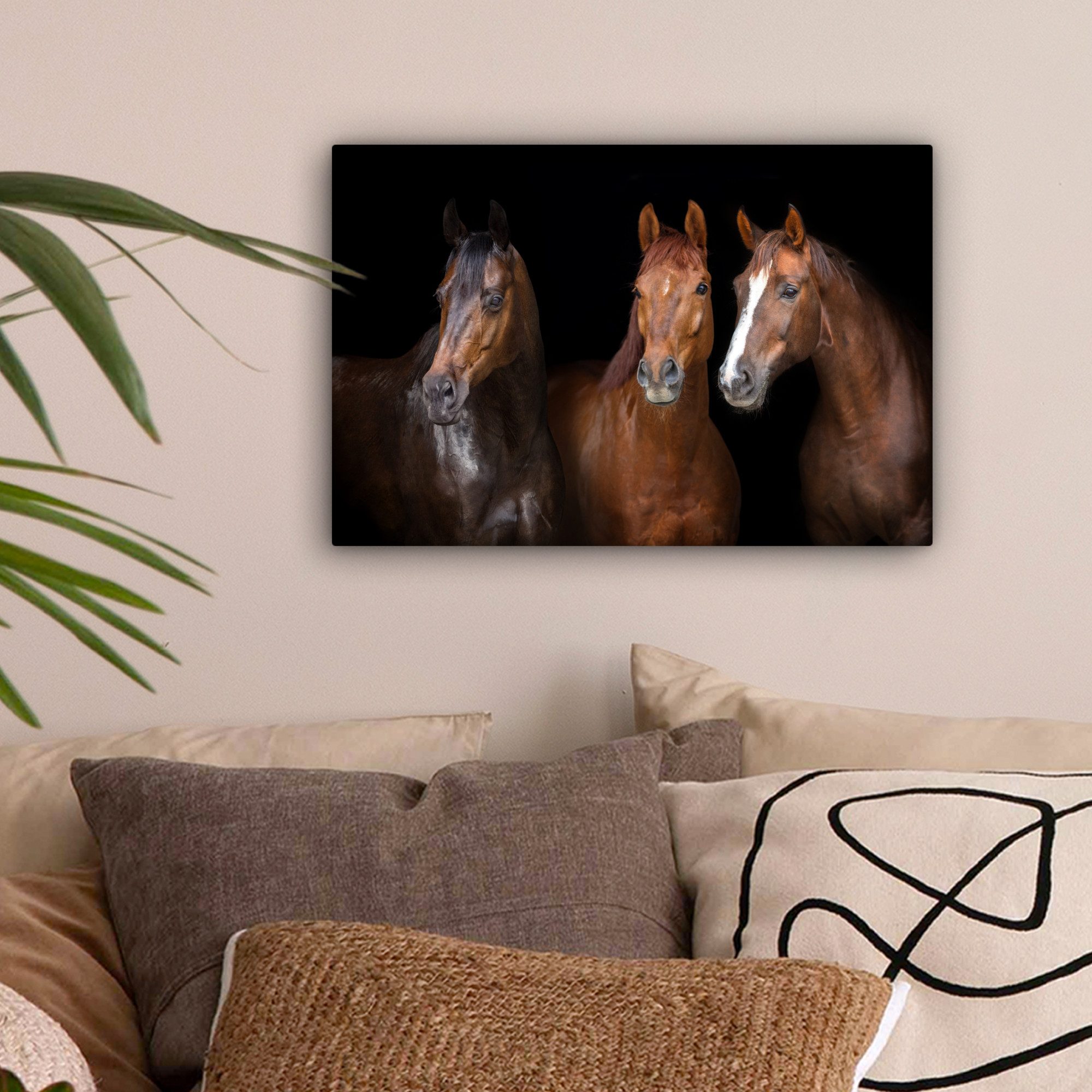OneMillionCanvasses® Leinwandbild Pferde - Tiere - günstig online kaufen