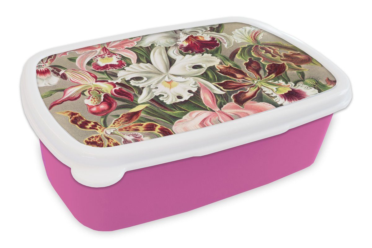MuchoWow Lunchbox Blumen - Ernst Haeckel - Jahrgang - Orchidee, Kunststoff, (2-tlg), Brotbox für Erwachsene, Brotdose Kinder, Snackbox, Mädchen, Kunststoff rosa
