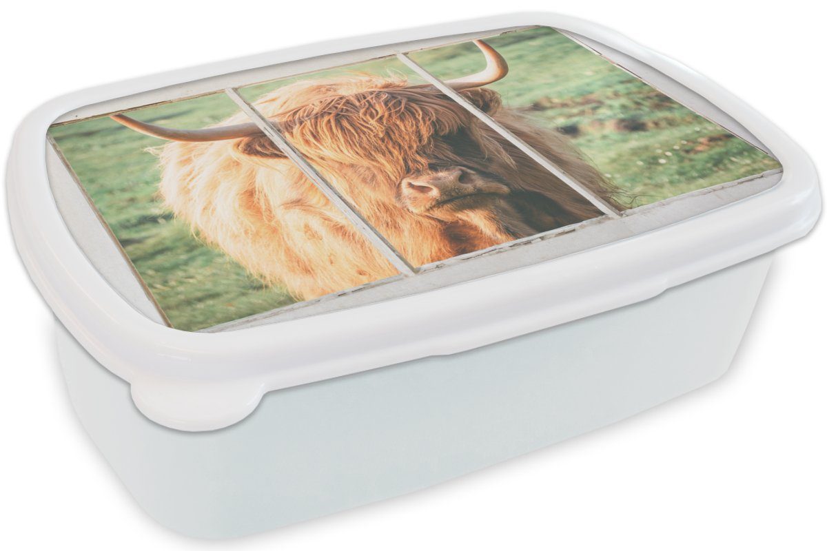 (2-tlg), Lunchbox für Ansicht, weiß Schottische Natur für Kunststoff, Highlander - Jungs Brotbox und Brotdose, MuchoWow Erwachsene, und - Mädchen Kinder