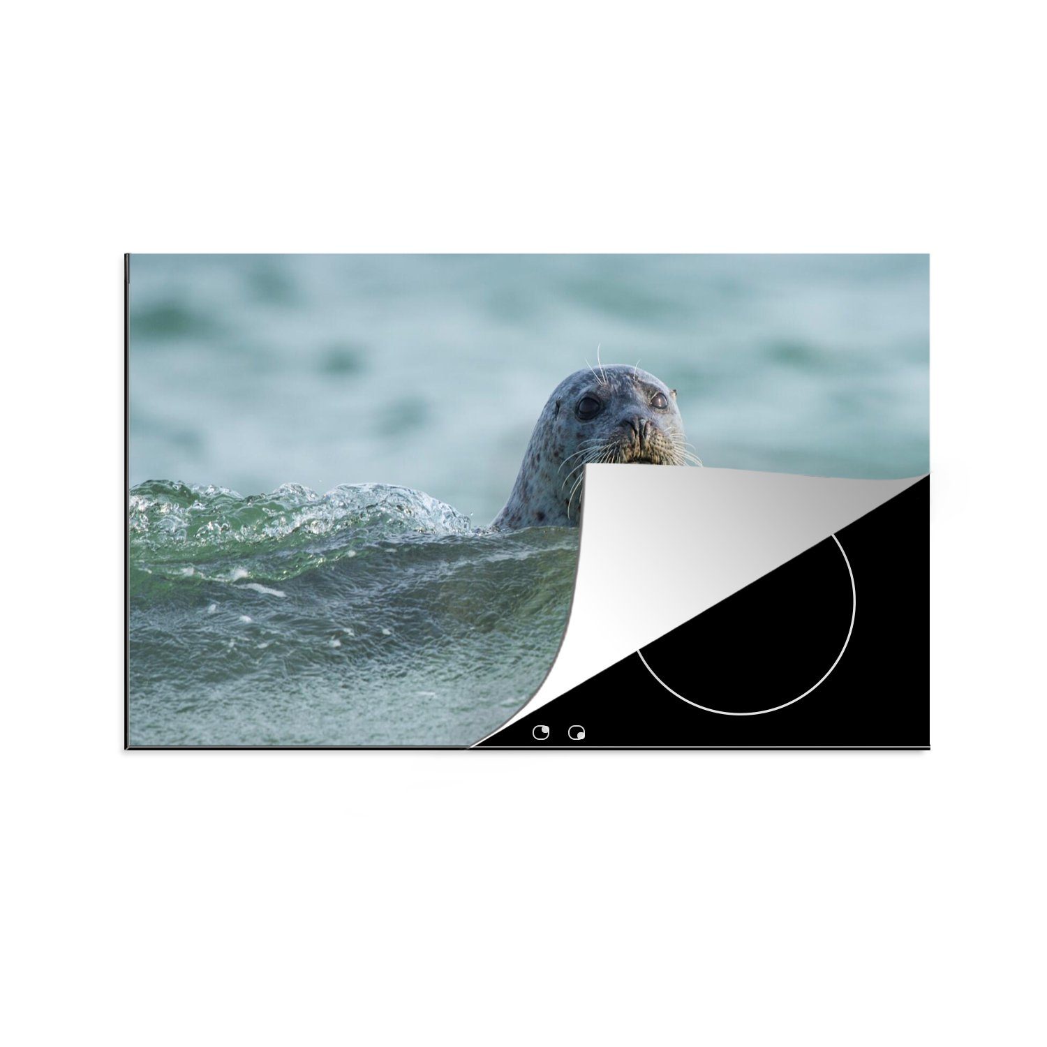 MuchoWow Herdblende-/Abdeckplatte Nordsee - Seehund - Wasser, Vinyl, (1 tlg), 83x51 cm, Ceranfeldabdeckung, Arbeitsplatte für küche