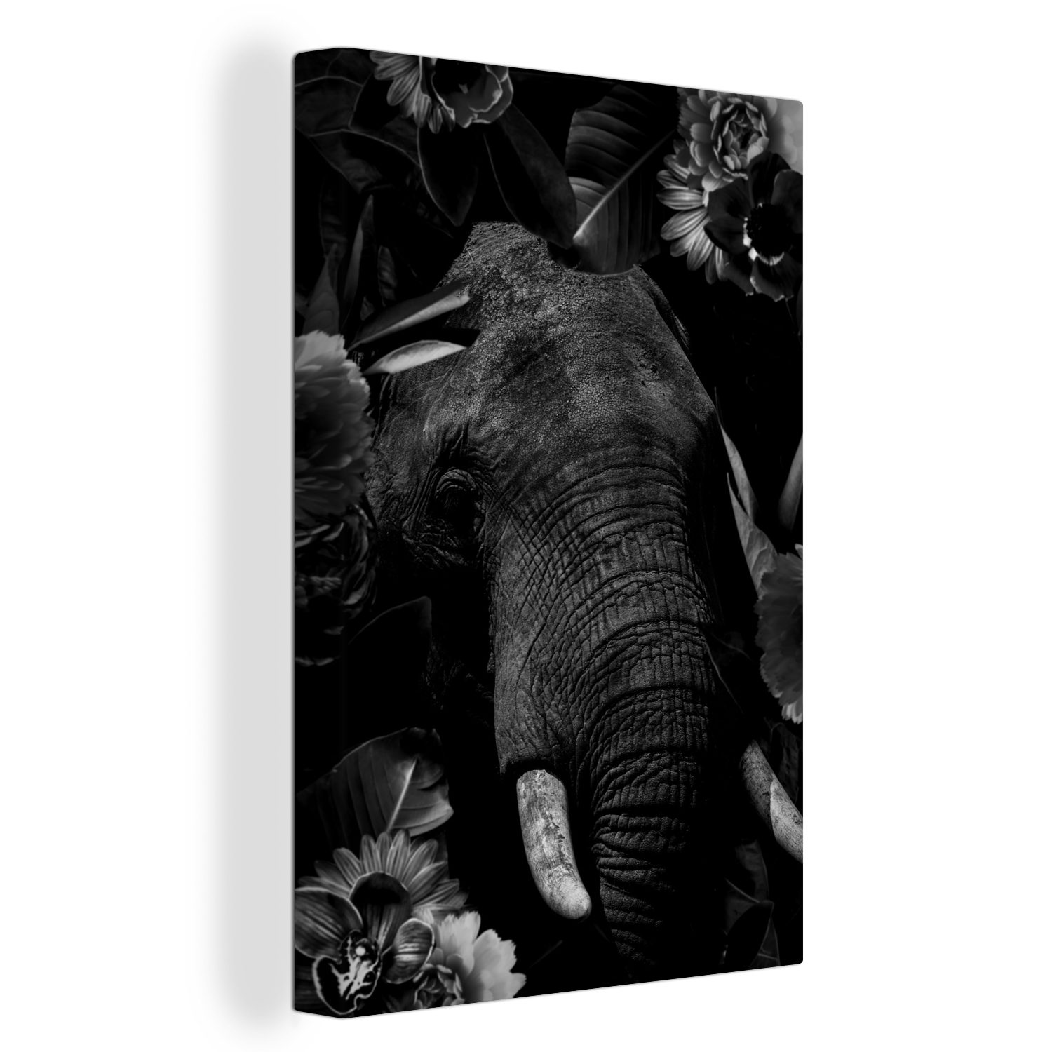 OneMillionCanvasses® Leinwandbild Botanischer Elefant vor schwarzem Hintergrund - schwarz und weiß, (1 St), Leinwandbild fertig bespannt inkl. Zackenaufhänger, Gemälde, 20x30 cm