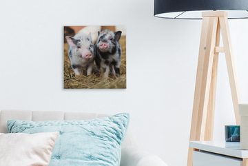 OneMillionCanvasses® Leinwandbild Schwein - Tiere - Ferkel, (1 St), Leinwand Bilder für Wohnzimmer Schlafzimmer