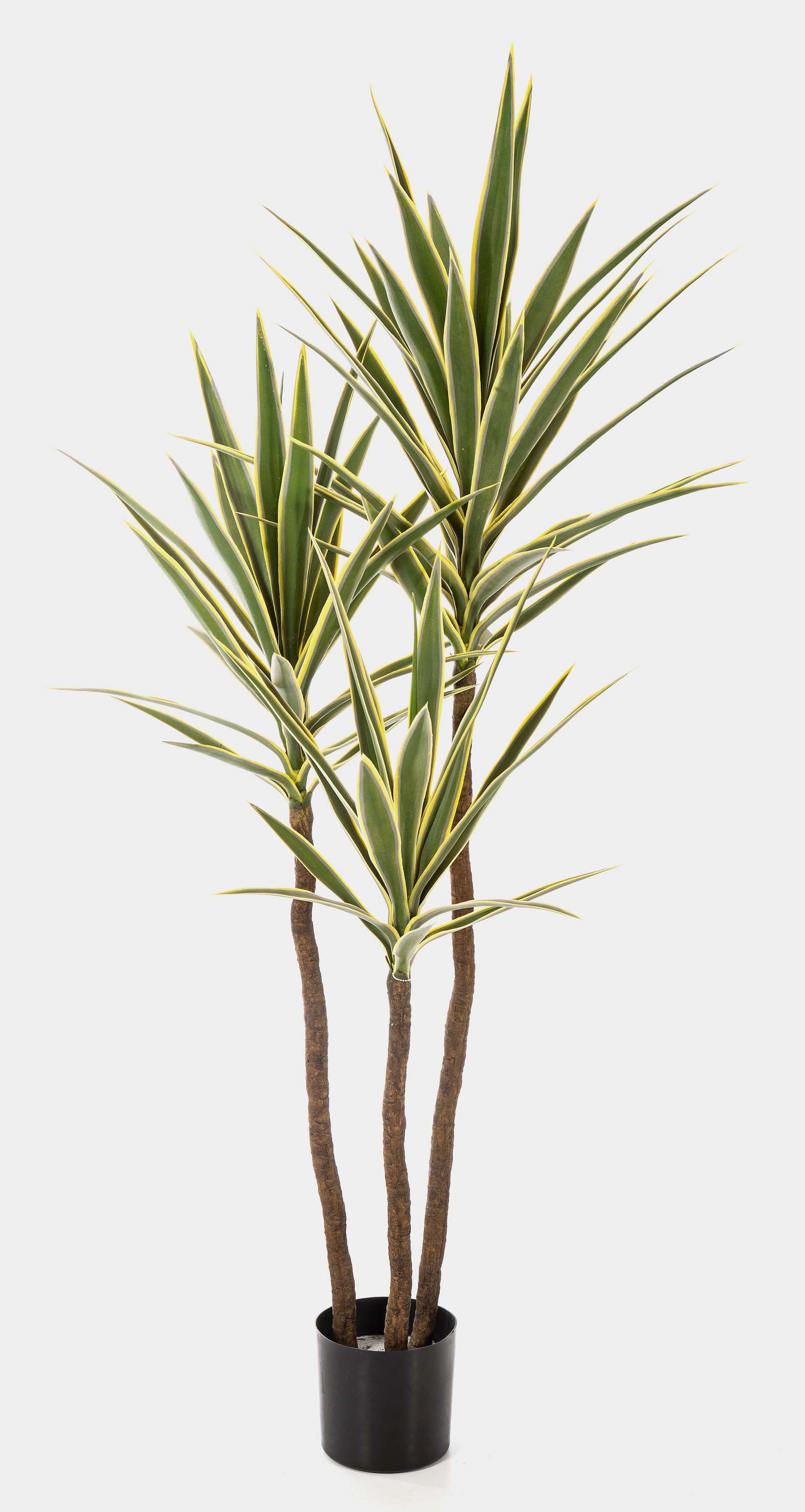 Kunstpalme Künstliche Yucca HELVETIOS, grün-gelb, 160cm Yucca (Yucca gloriosa variegata), artplants, Höhe 160.0 cm