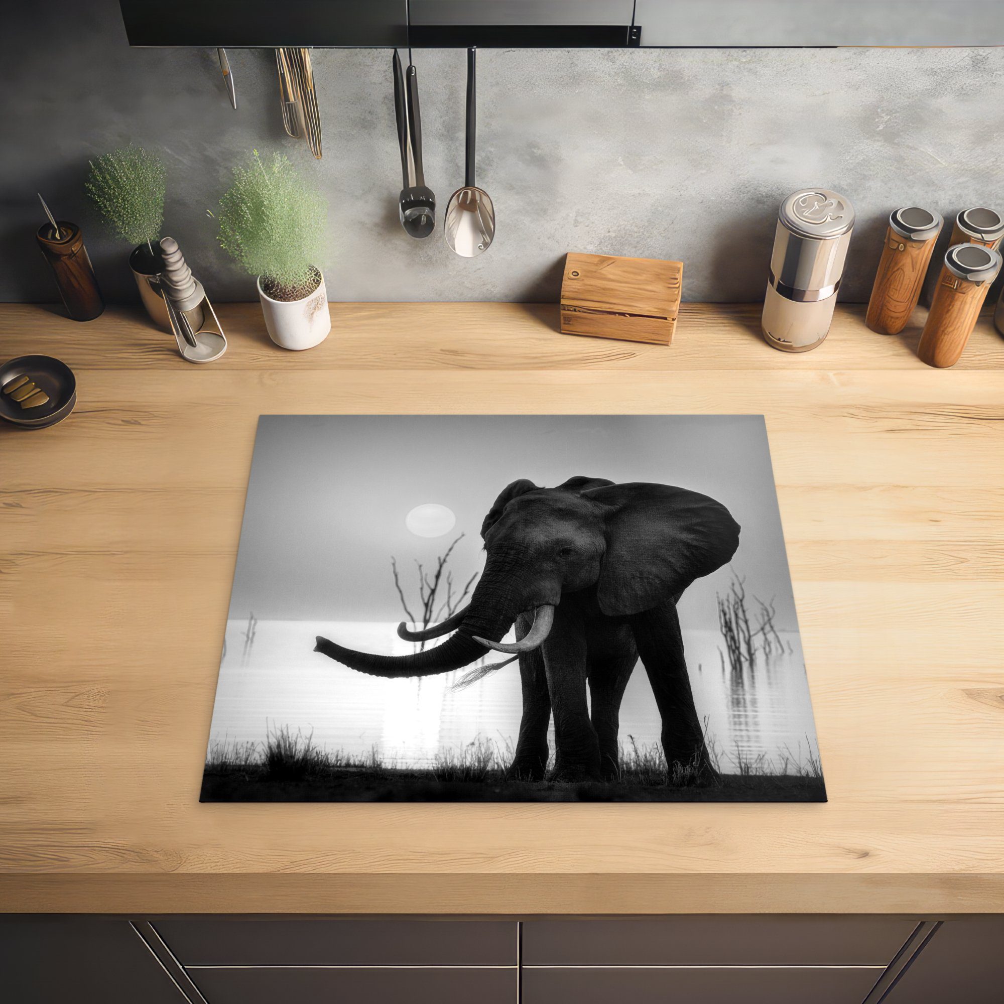 MuchoWow Herdblende-/Abdeckplatte Elefant bei 60x52 (1 Sonnenuntergang Arbeitsfläche und Mobile tlg), Ceranfeldabdeckung weiß, cm, schwarz nutzbar, Vinyl, 