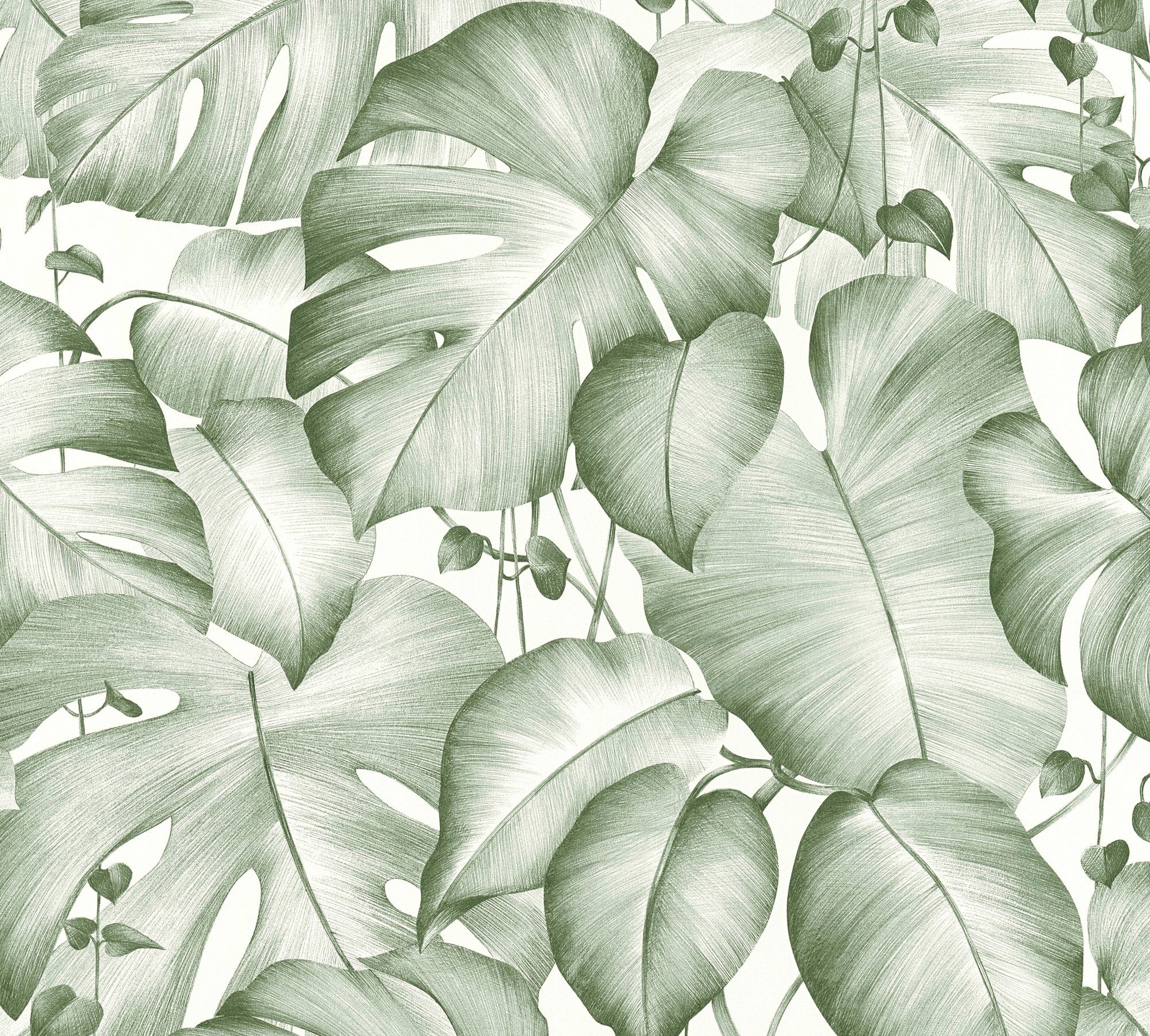 living m Dschungel Panel Up x Grün Weiß Tapete 2,50 Palmen 3D, Vinyltapete Selbstklebend m Panel 0,52 Pop strukturiert, walls floral,