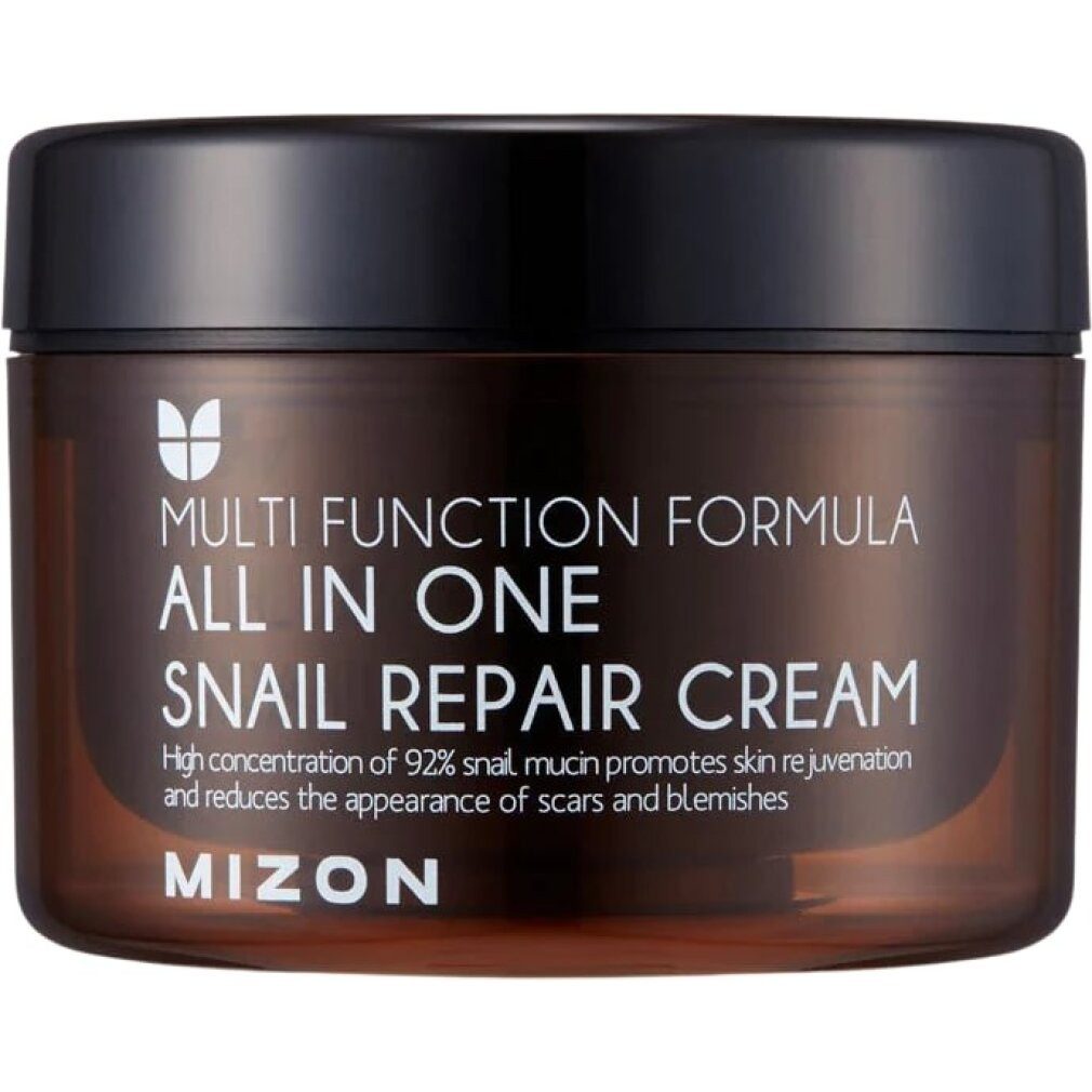 Mizon Tagescreme Regenerating face cream with snail secretion filtrate 92%Volume: 120ml
