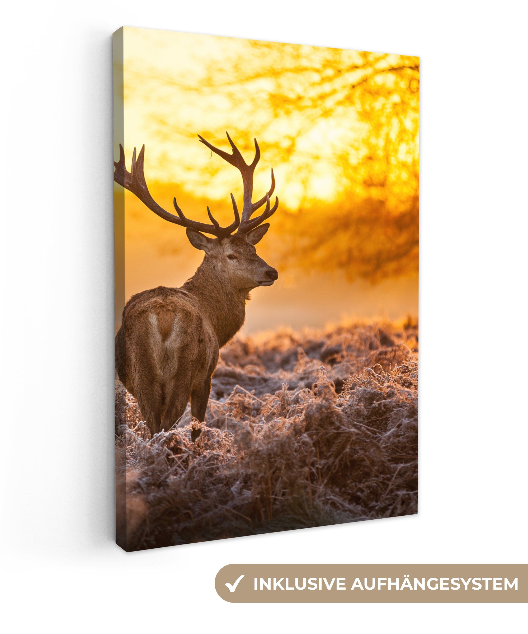 OneMillionCanvasses® Leinwandbild Hirsche - Tiere - Sonnenuntergang - Winte günstig online kaufen