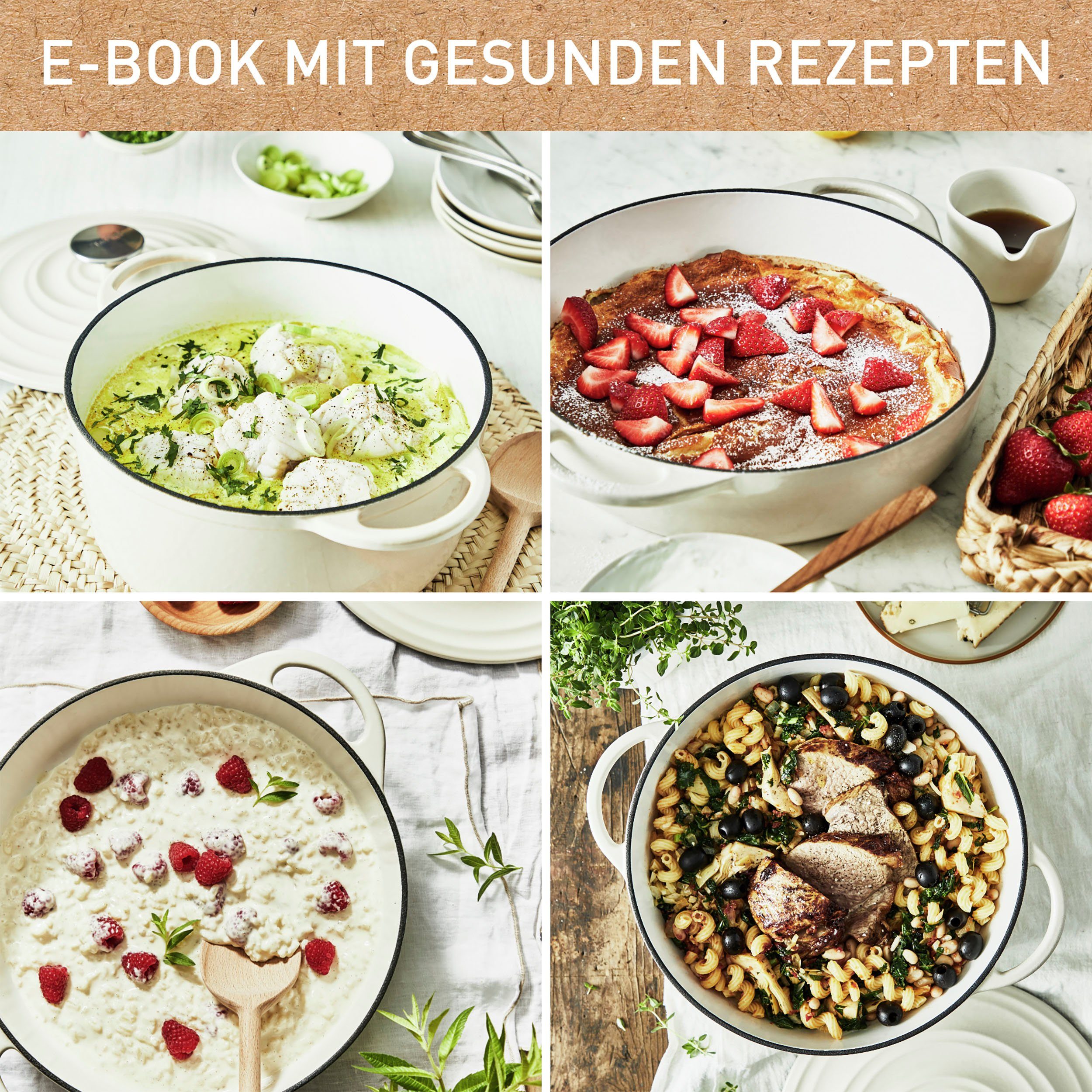 inkl. Tefal Bräter Induktion E25906 (1-tlg), 28 LOV, umweltfreundlich, E-Book, Gusseisen cm,