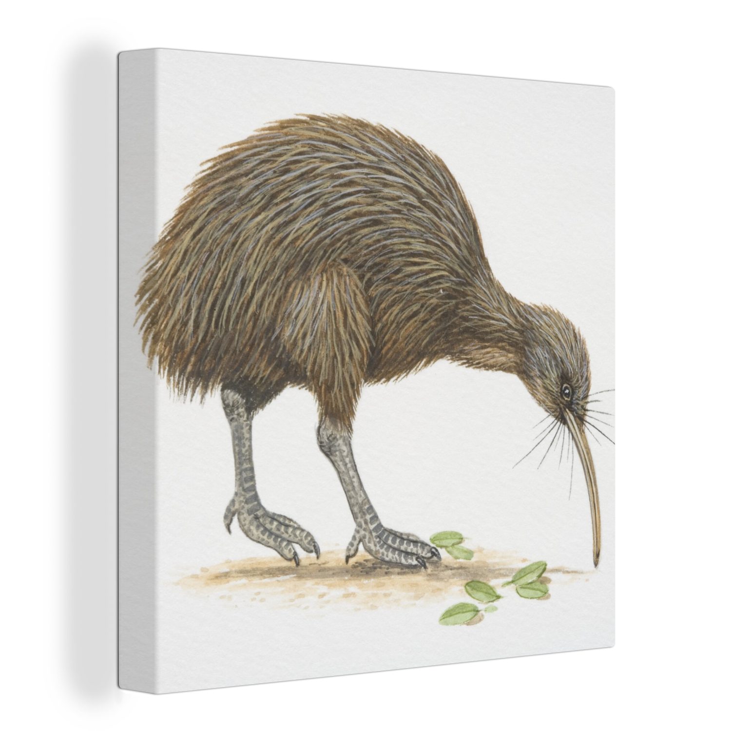 OneMillionCanvasses® Leinwandbild Illustration eines Kiwi-Vogels, der Blätter frisst, (1 St), Leinwand Bilder für Wohnzimmer Schlafzimmer