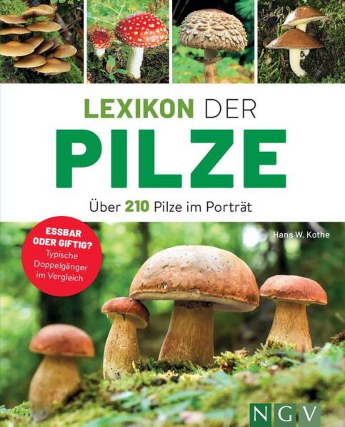 Lexikon der Pilze - Handbuch für Pilzsammler mit über 210 Pilzen / Hans W. Kothe