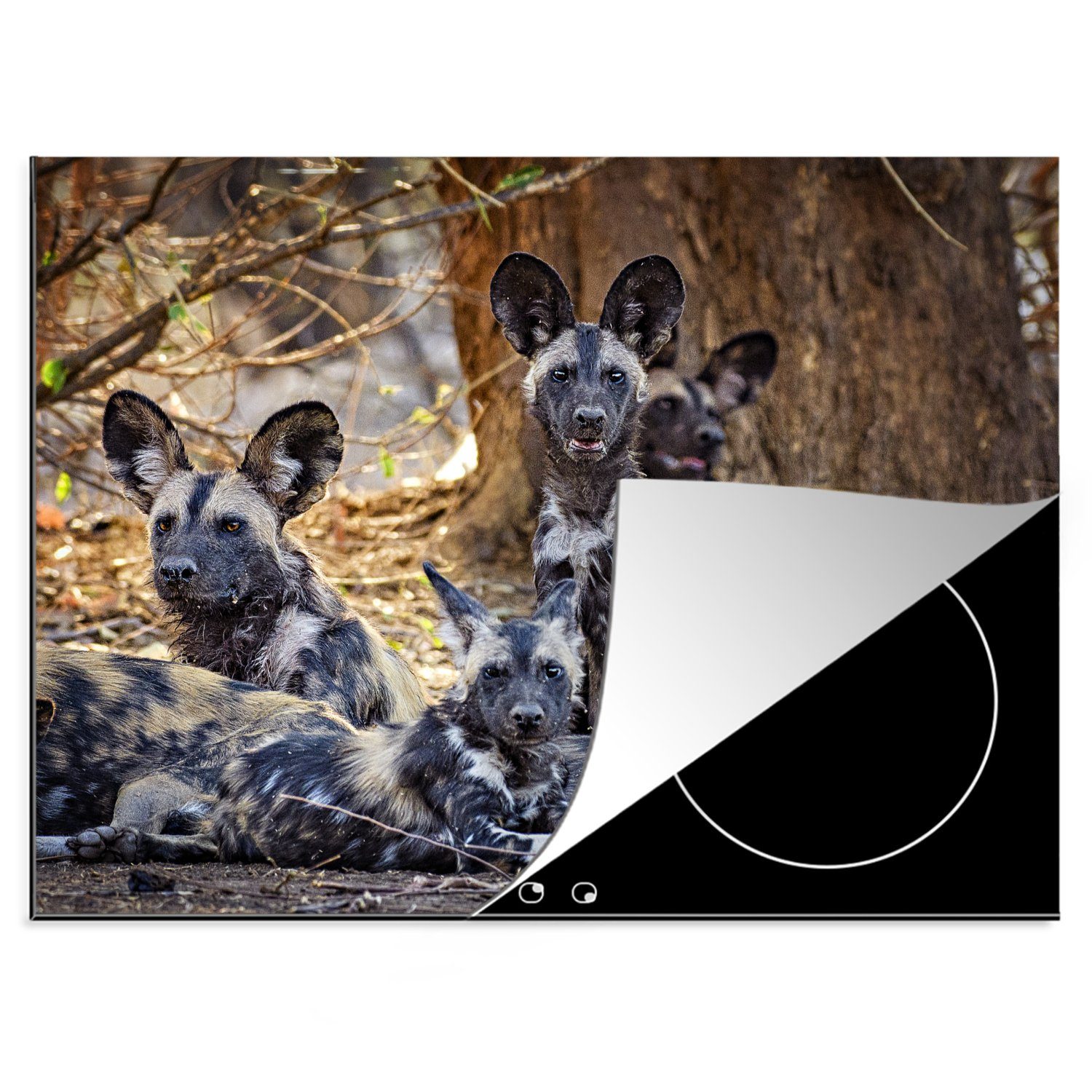 MuchoWow Herdblende-/Abdeckplatte Ein Rudel afrikanischer Wildhunde im Mana Pools National Park in, Vinyl, (1 tlg), 70x52 cm, Mobile Arbeitsfläche nutzbar, Ceranfeldabdeckung