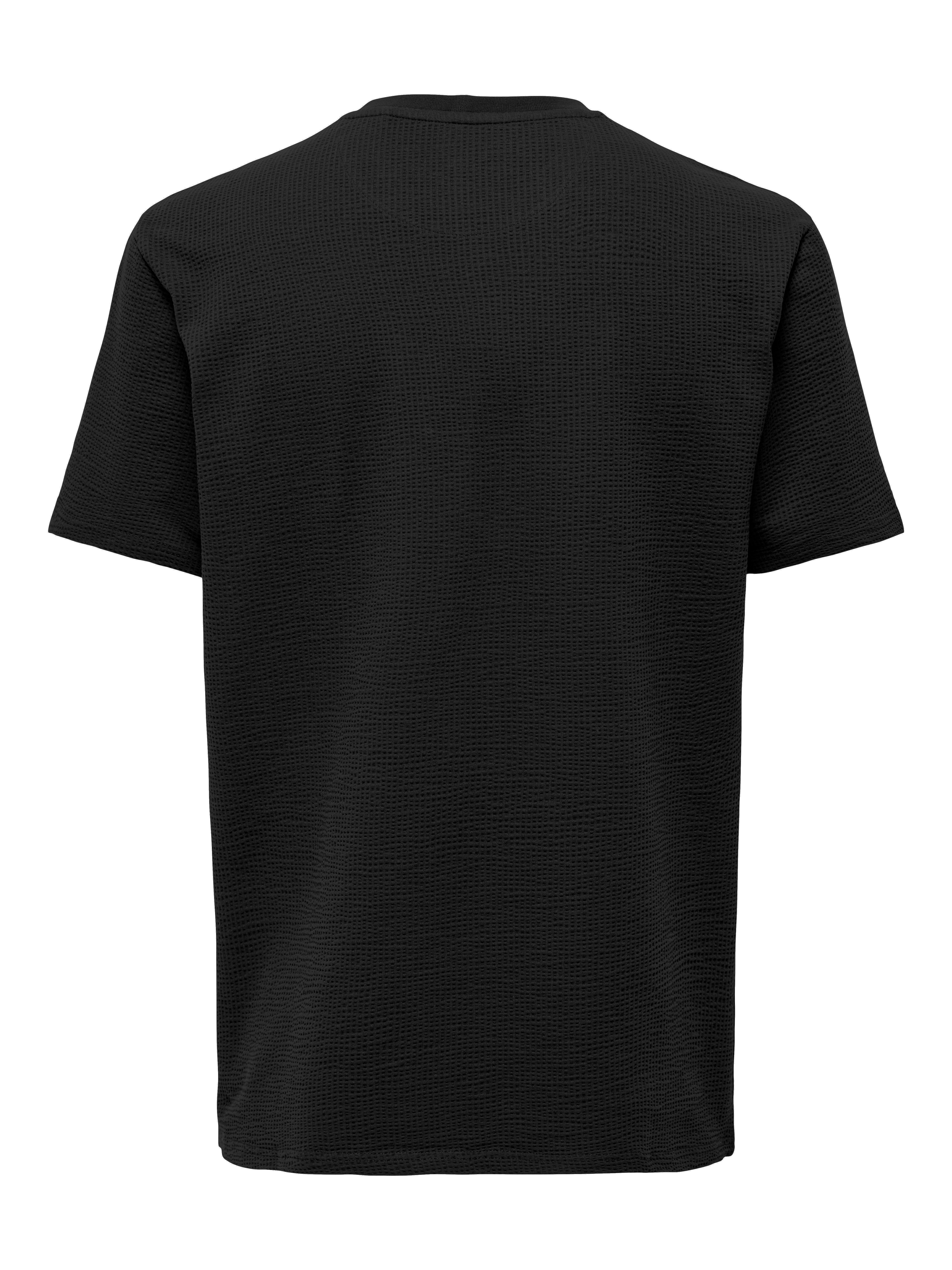 ONLY & SONS Rundhalsshirt ONSKIAN LIFE REG SEERSUCKER SS TEE NOOS