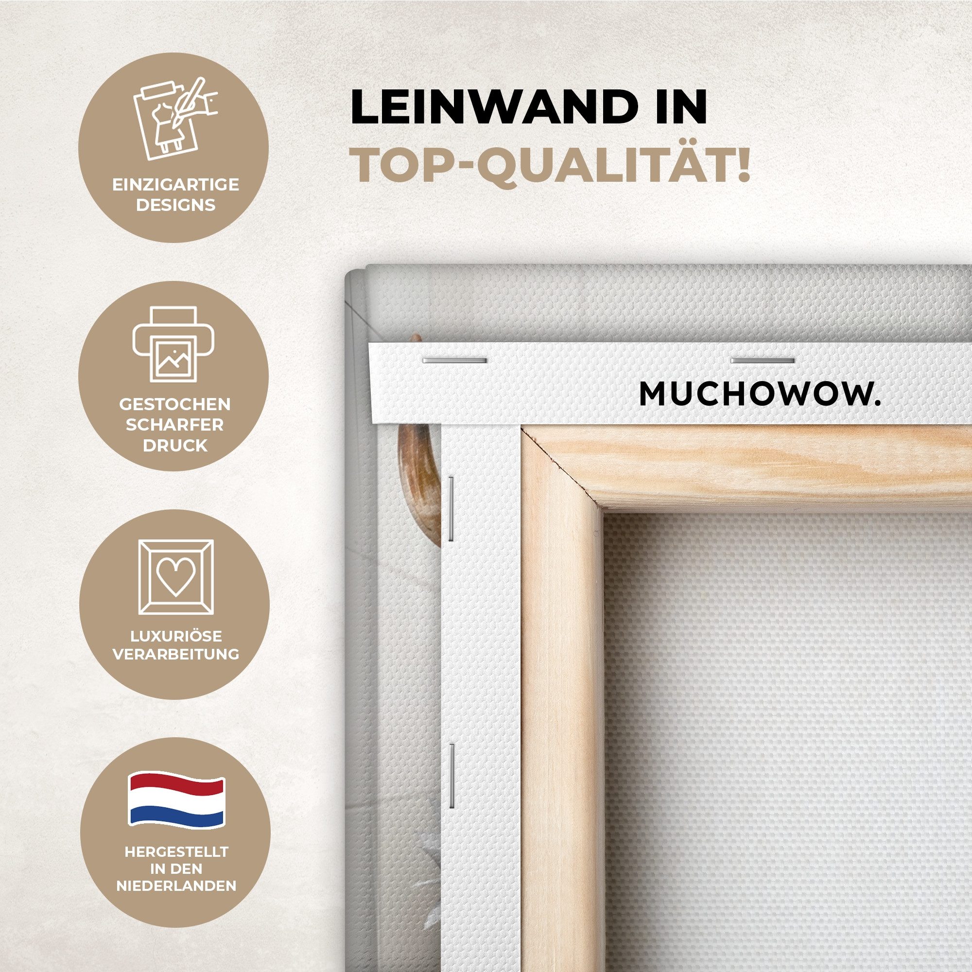 OneMillionCanvasses® Leinwandbild Hochlandbewohner - Tier - günstig online kaufen