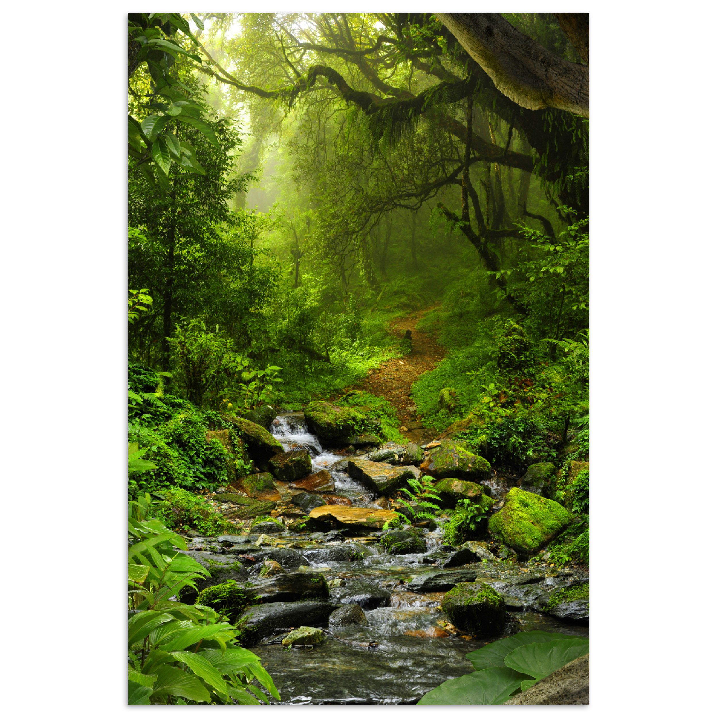 MuchoWow Poster Natur - Wasser - Dschungel - Wald - Tropisch, (1 St), Poster ohne Rahmen, Wandbild, Wandposter, 20x30 cm